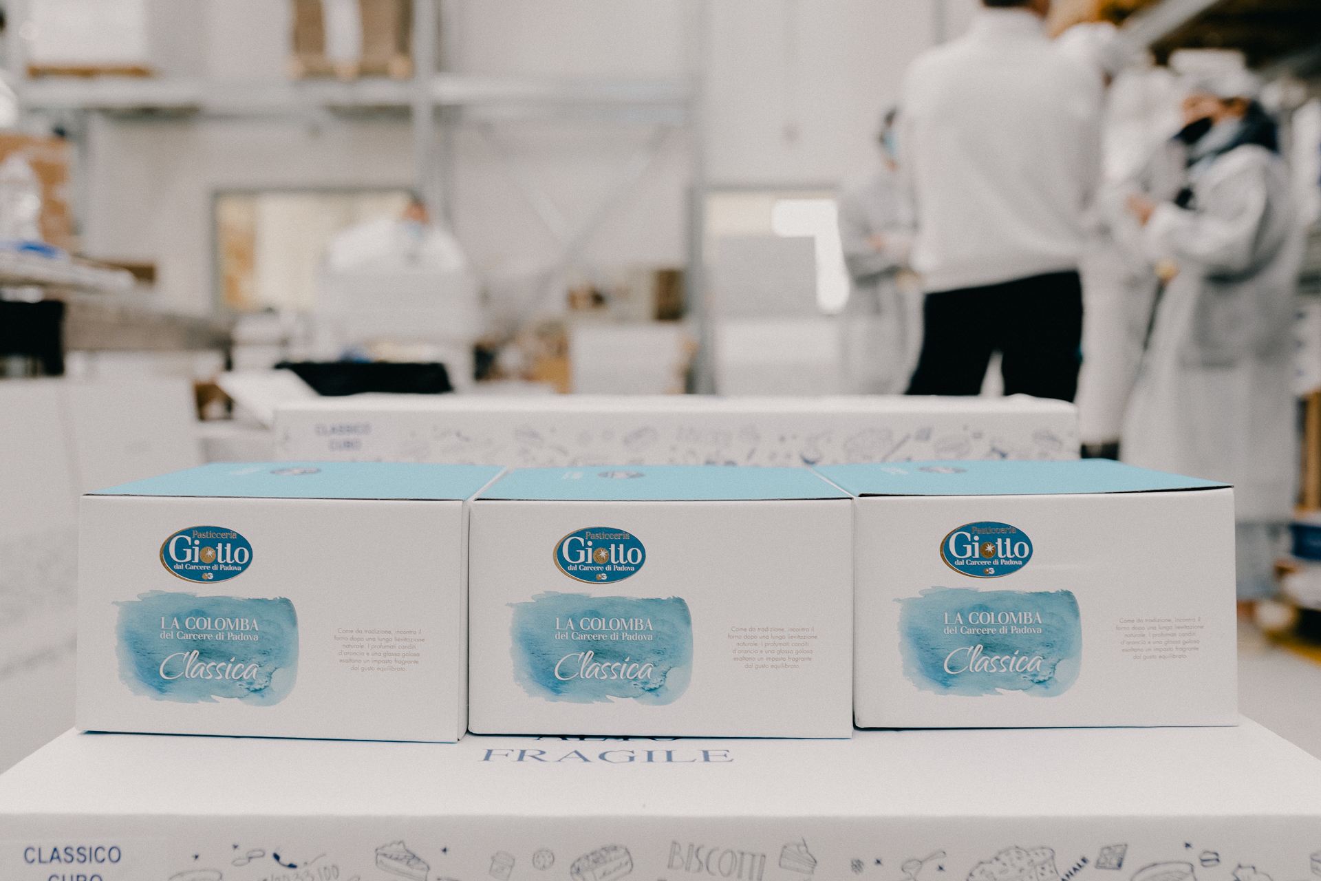 Giotto Bakery – Colombe packaging. White and light blue with the bakery's logo.