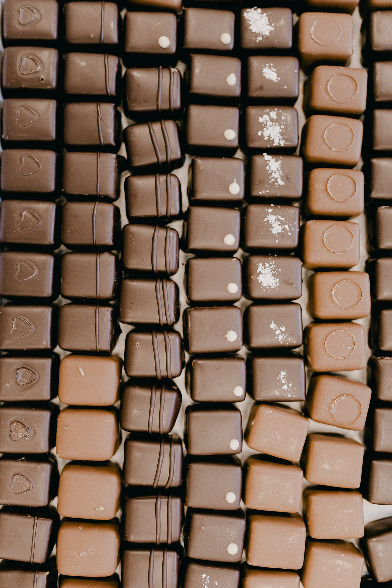 Giotto Bakery – seven rows of chocolate pralines in different shapes and flavours