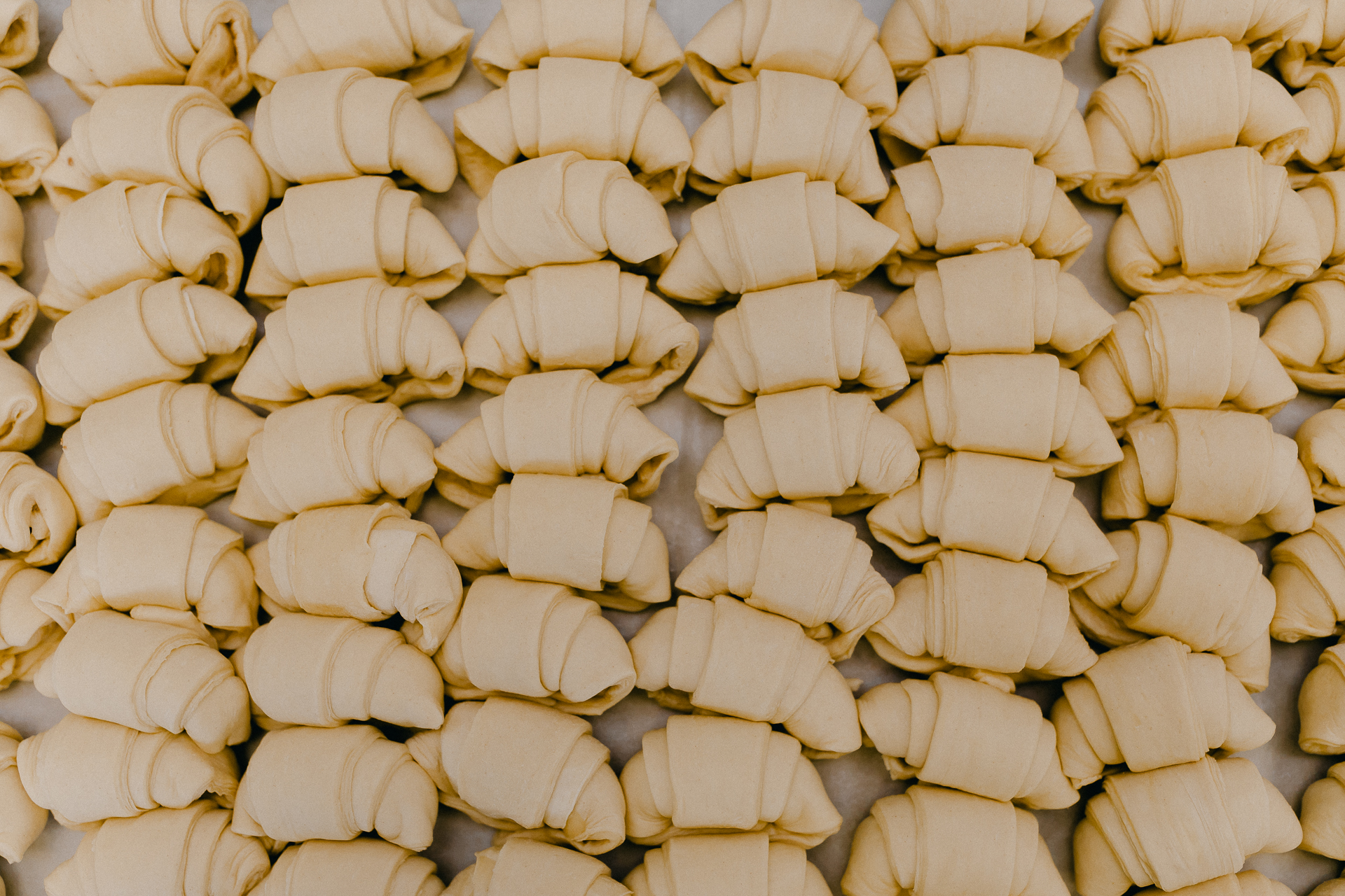 Giotto Bakery – Rows of rolled-up croissants, ready to be baked