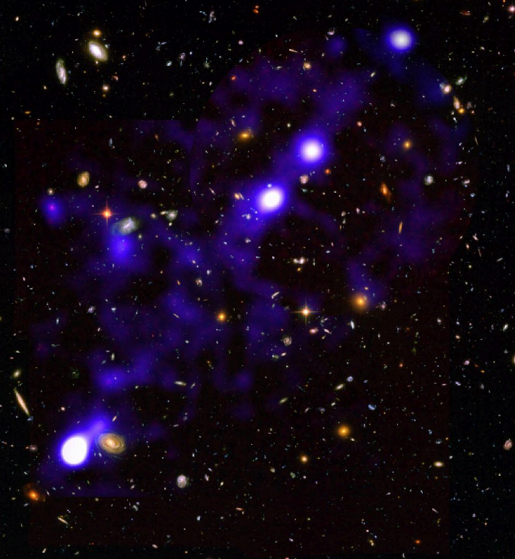 Filamen hidrogen (berwarna biru) yang ditemukan MUSE di bidang ultra-dalam Hubble.