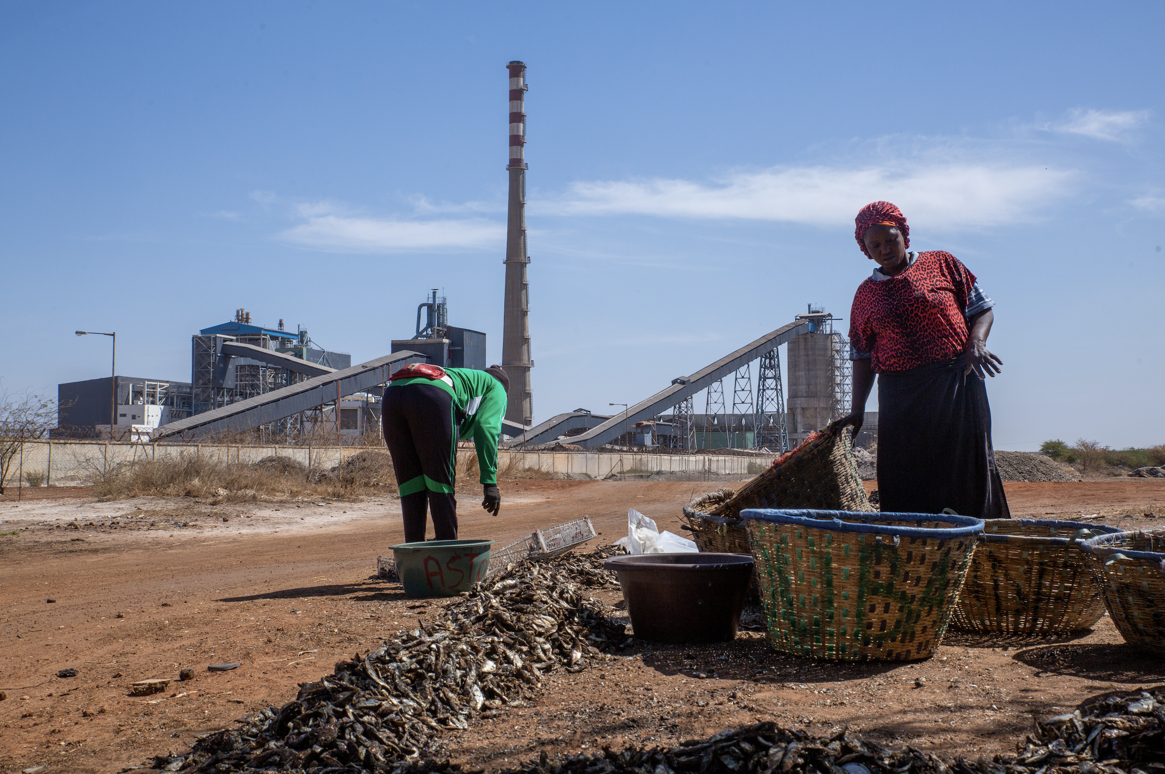 Women sort fish in front of the power plant.