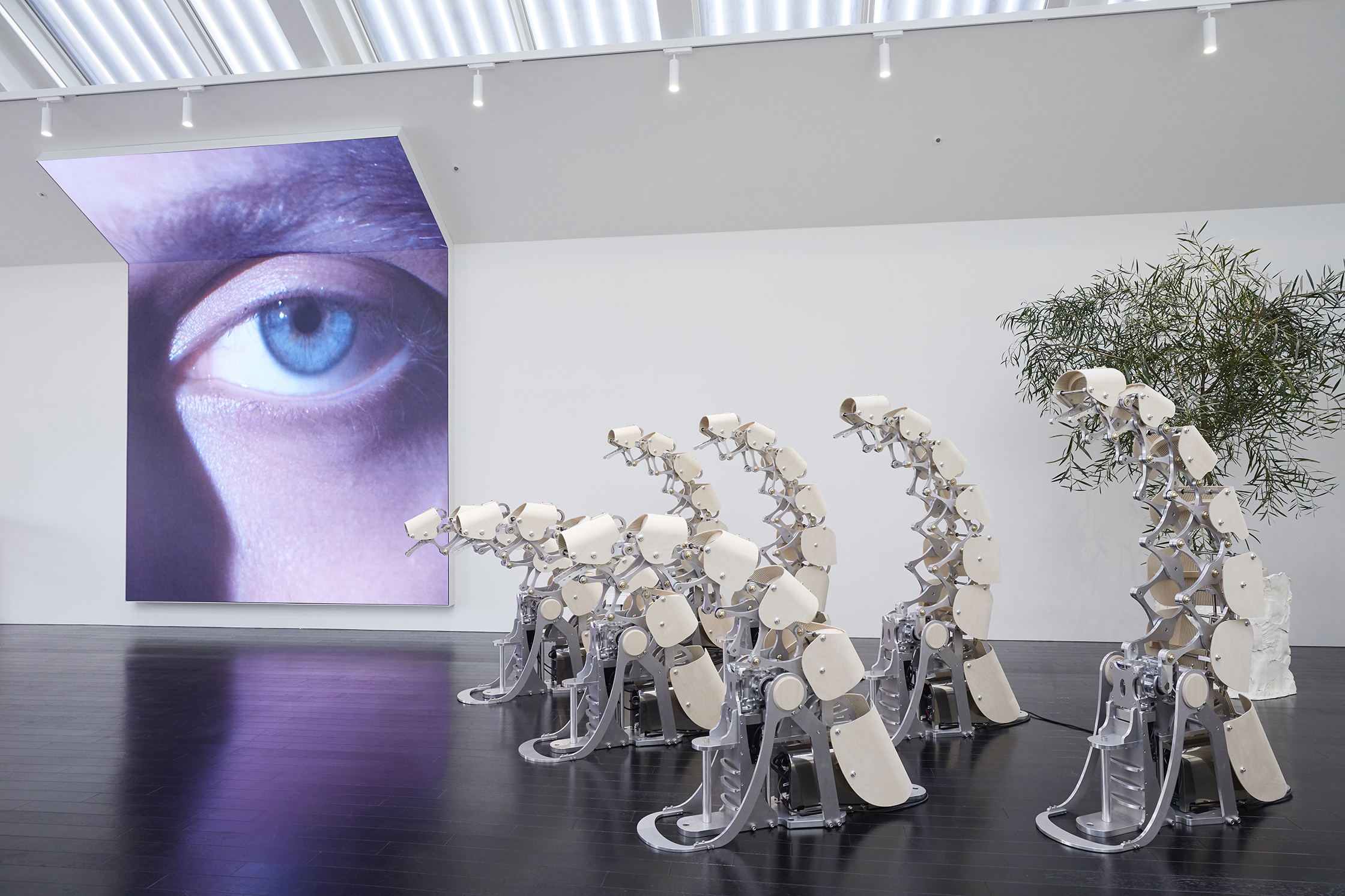 Gentle Monster eyewear Haus Dosan concept store in collaborazione con Arca, Seoul, Corea del Sud