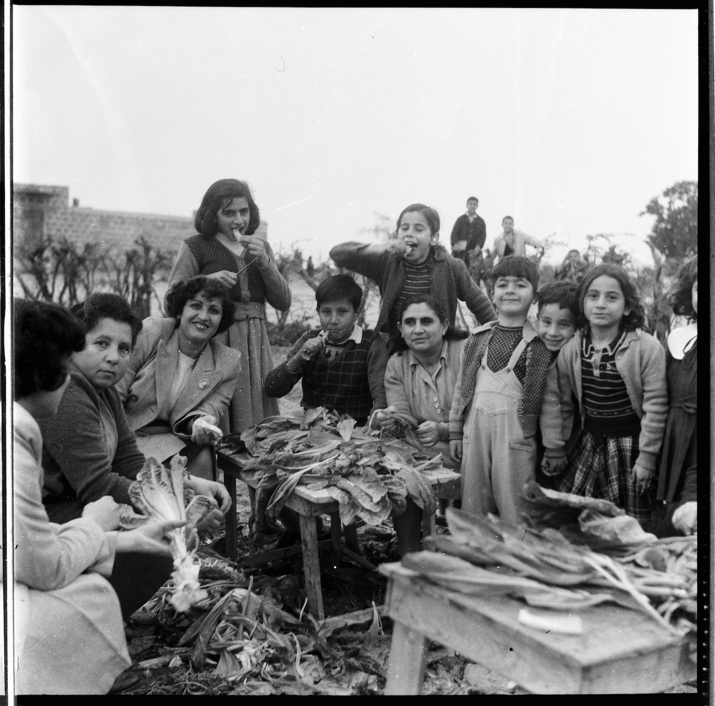 Kegham Djeghalian, Gaza photographer – four women cleaning vegetables with their kids. The children are smiling and snacking.