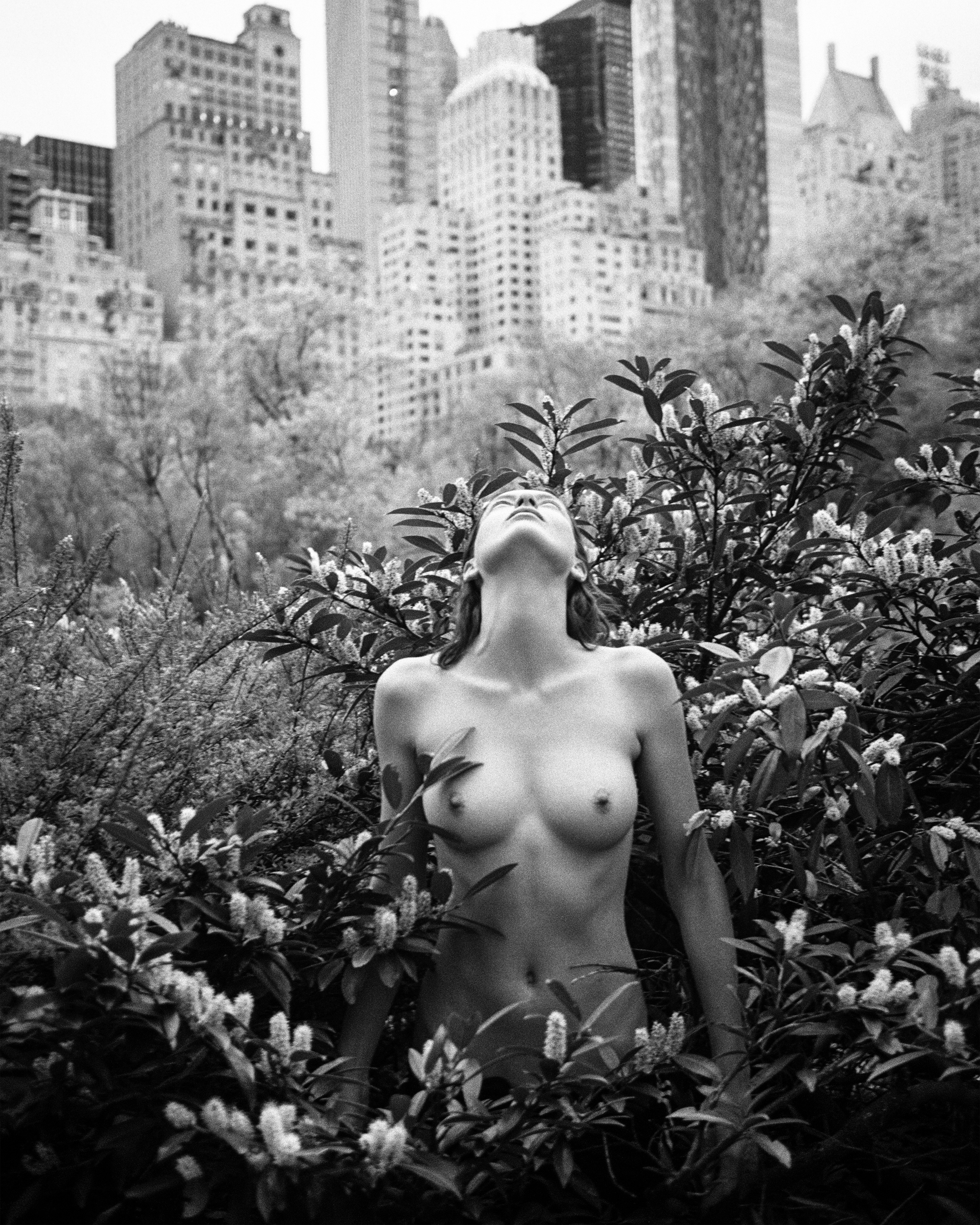 Rose Smith 5.jpg