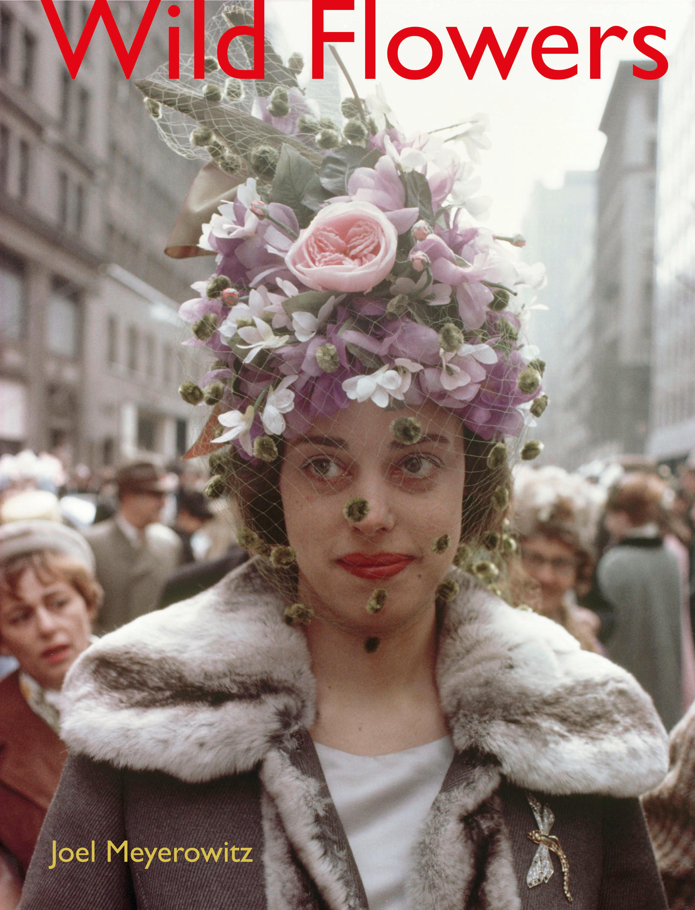 Joel_Meyerowitz_Wild_Flowers_Cover.jpg