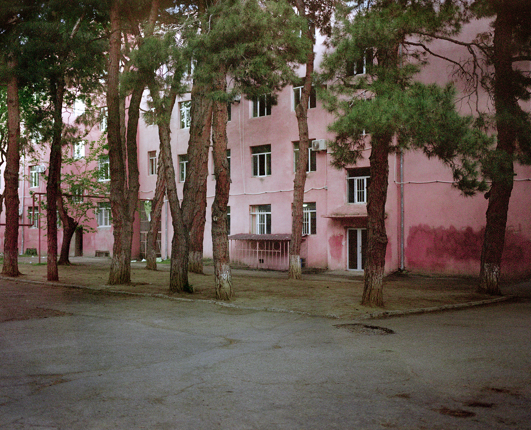 piazzale con alberi, Everything ok not ok, giovani queer Tblisi, fotografia di Piet Oosterbeek