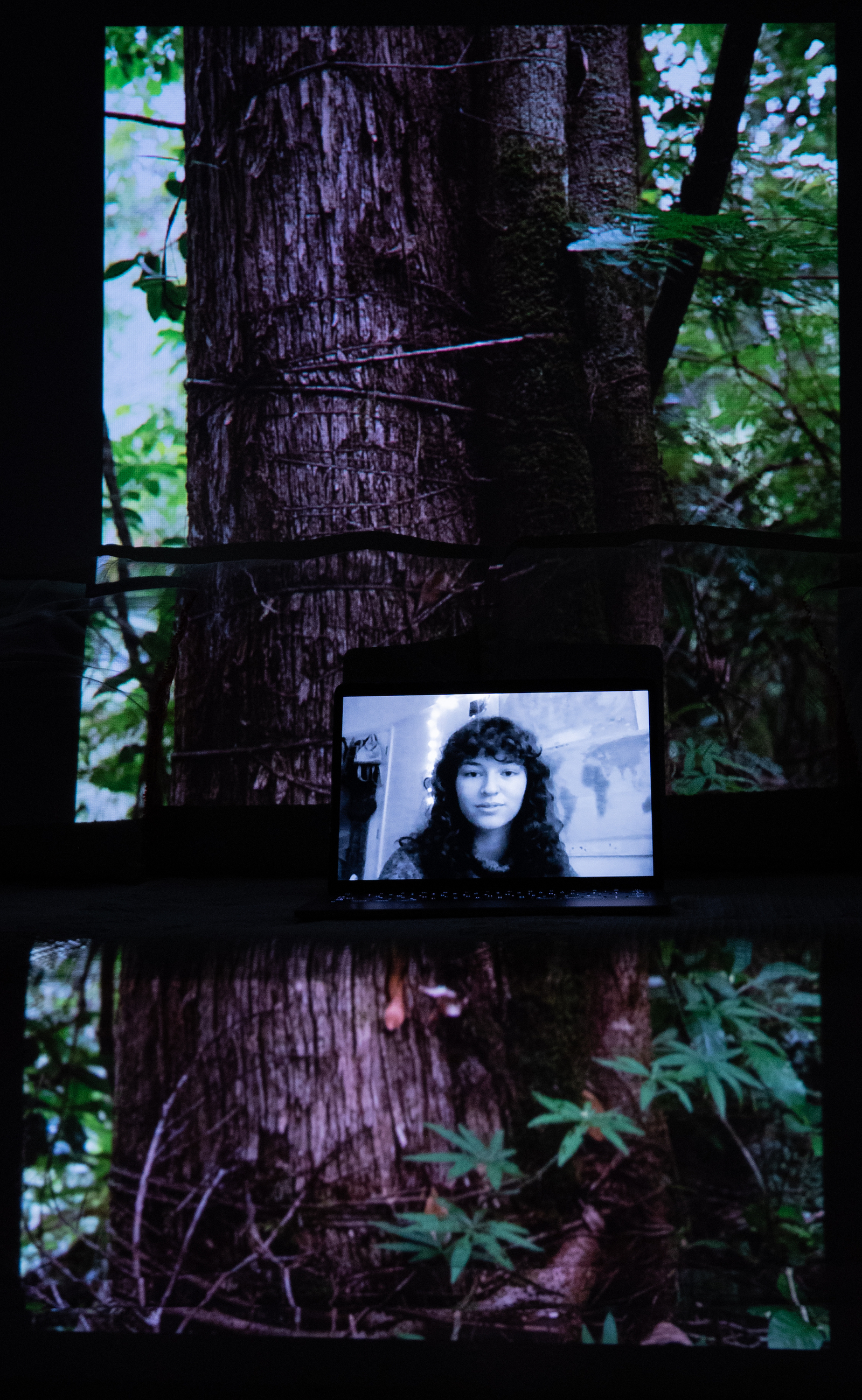 Talia Woodin, Extinction Rebellion Youth Coordinator. Projected Image: The Vine Embraced the Tree, Lacandon Jungle, Mexico, December 2020.