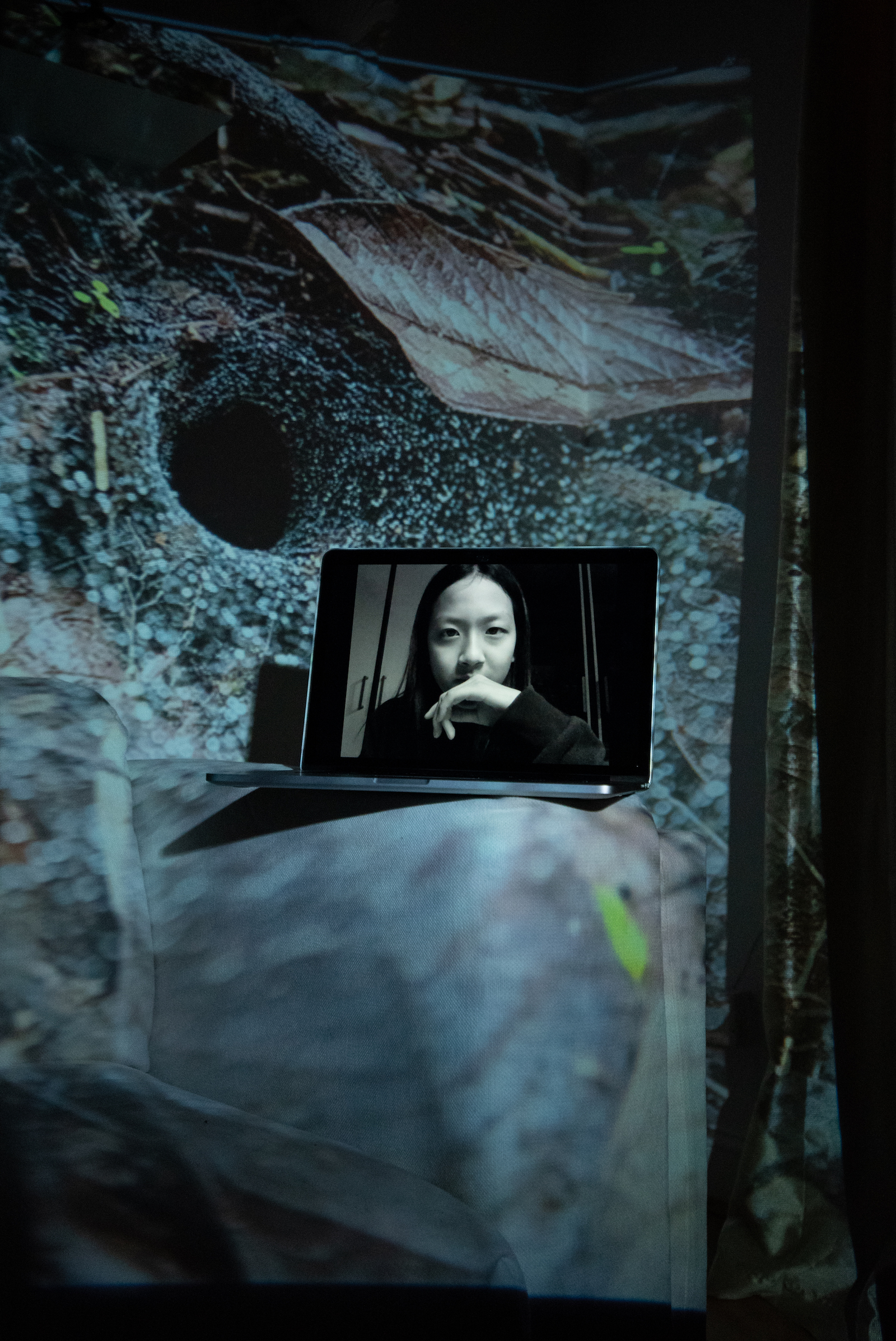 Kyuri Kim, Fridays for Future South Korea Organizer, MockCOP26 delegate. Projected Image: The Tarantula’s House, Lacandon Jungle, Mexico, December 2020.