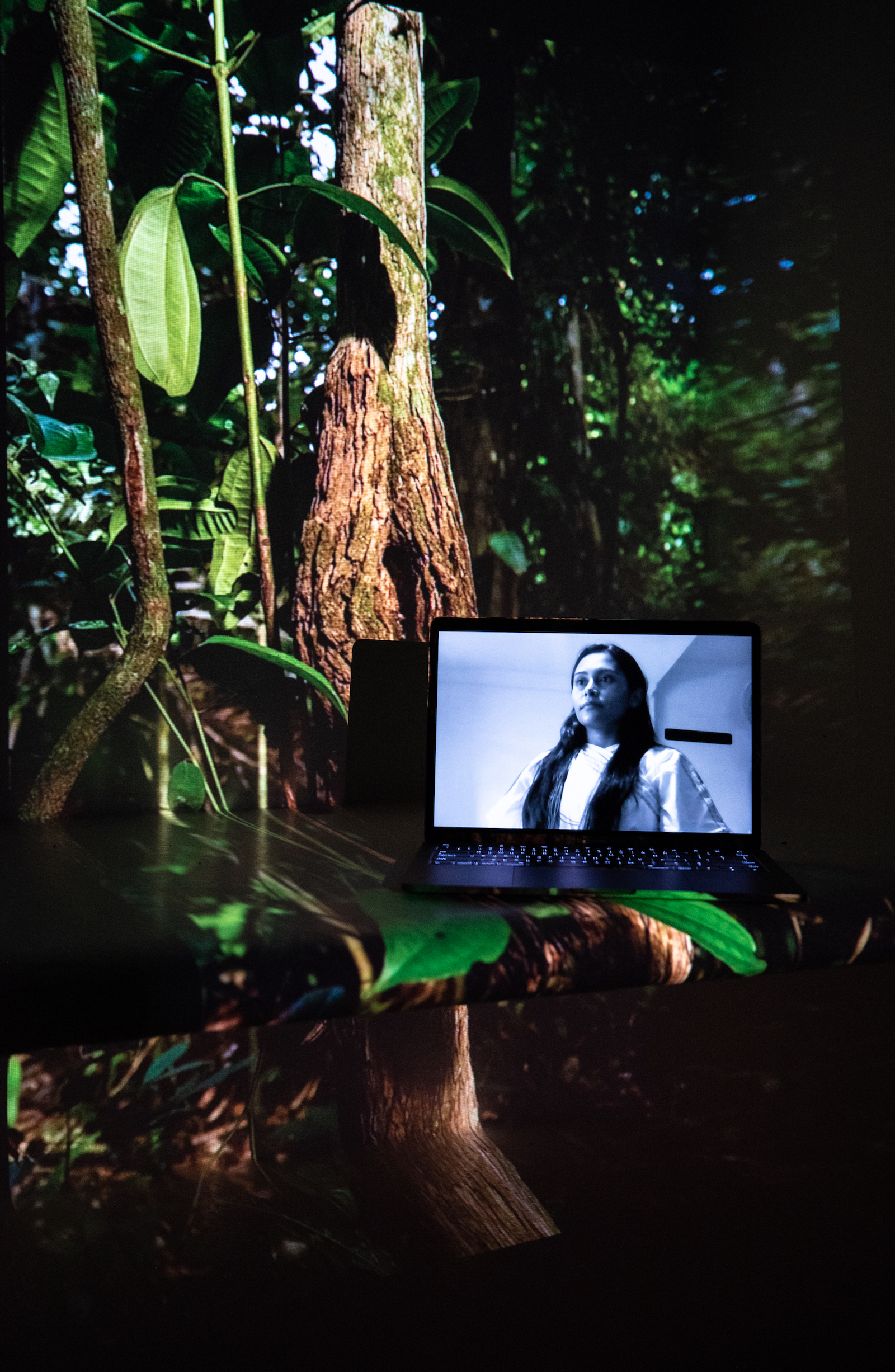 Daniela Balaguera, U4CA Organizer, Environmental Defender of the Sierra Nevada de Santa Marta, Unite for Climate Action Organizer. Projected Image: En la Selva, Lacandon Jungle, Mexico, December 2020.