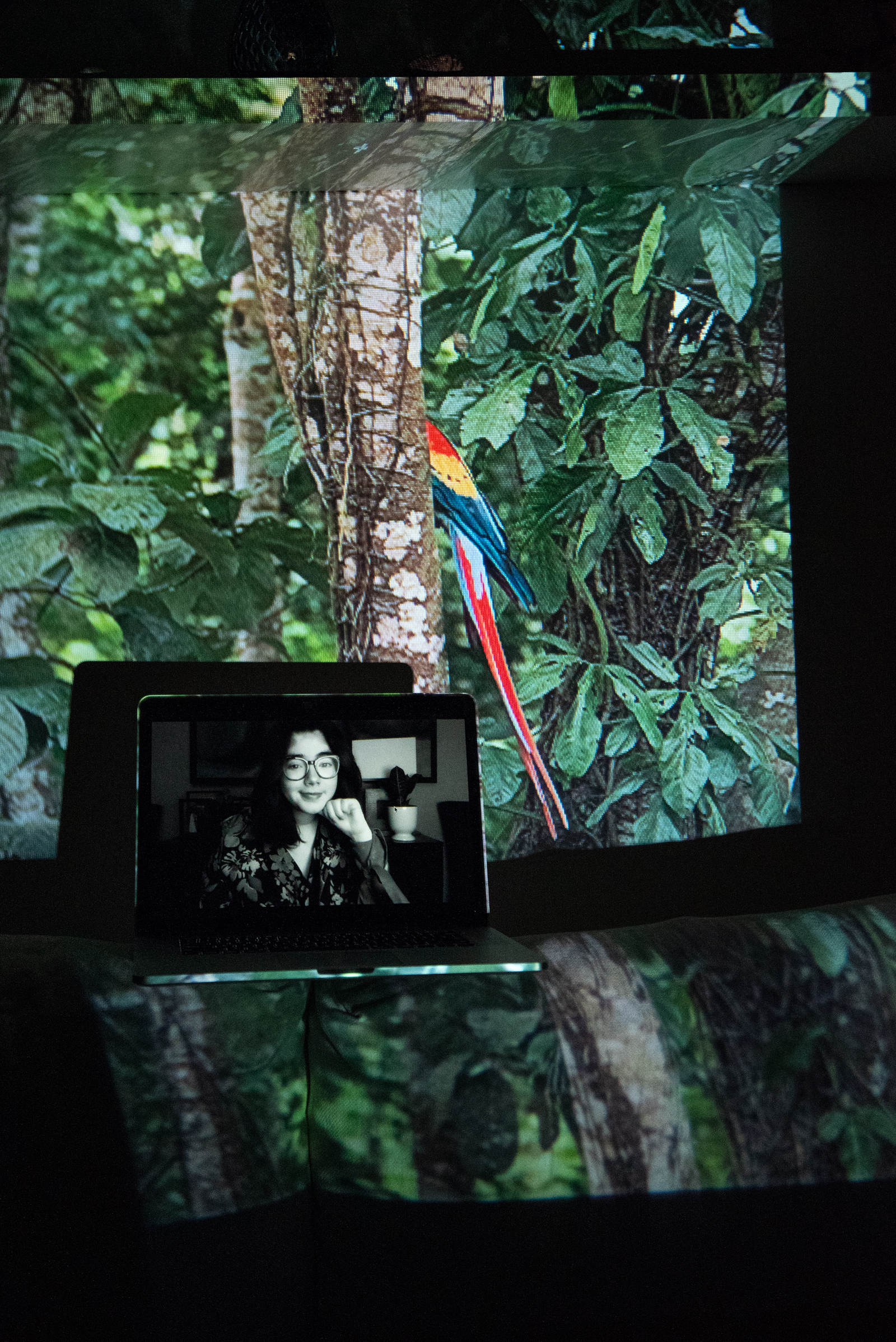 Andrea Villareal, Girl Up Campaign Regional Leader of Latinamerica and the Caribbean, #EscazúAhora Mexico Co-Founder. Projected Image: La Guacamaya, Lacandon Jungle, Mexico, December 2020.