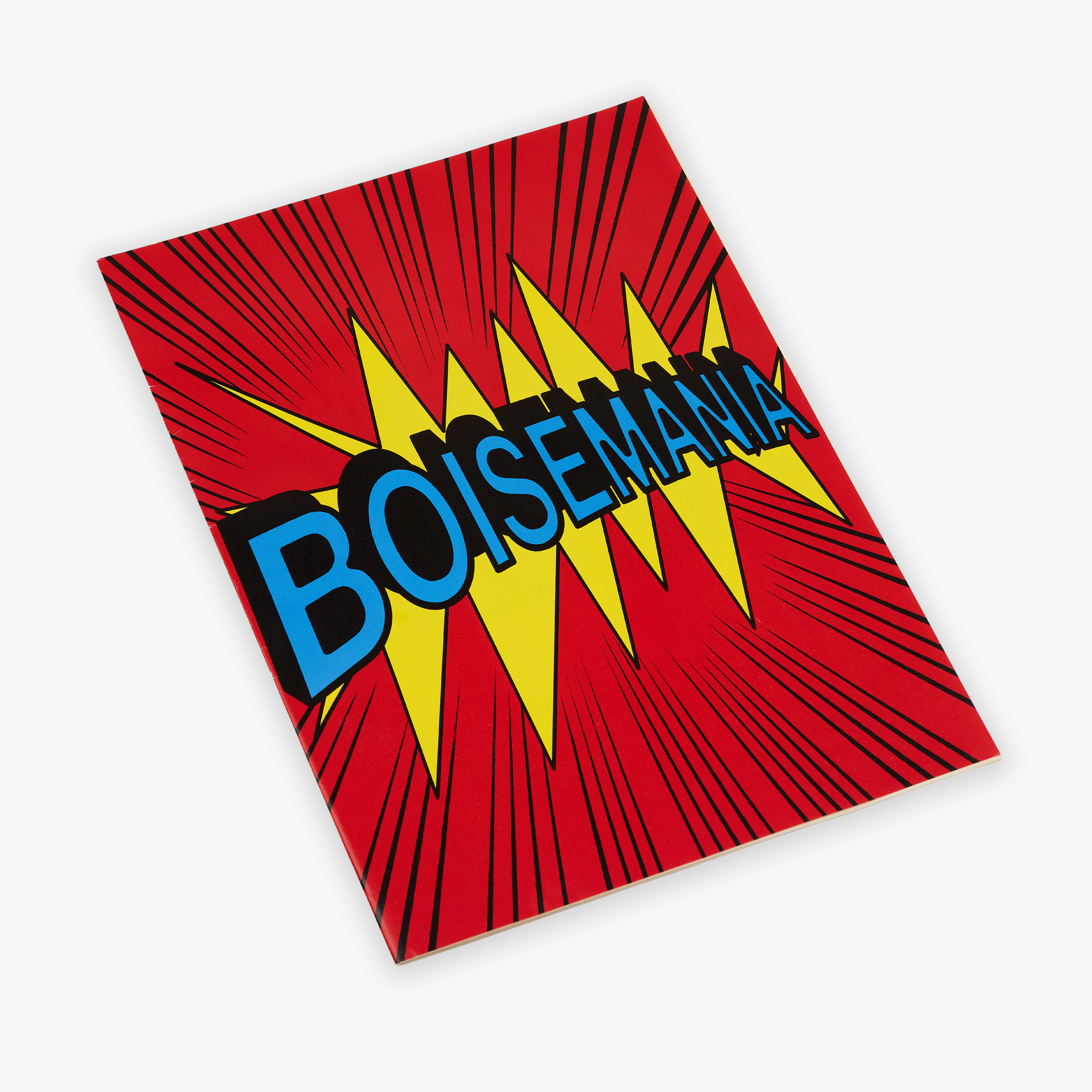 BOOK BOISEMANIA Cover.jpg
