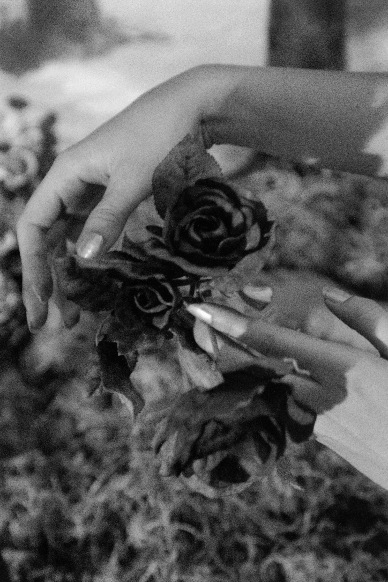mani con in mano una rosa foto da The Model Family di Tealia Ellis Ritter