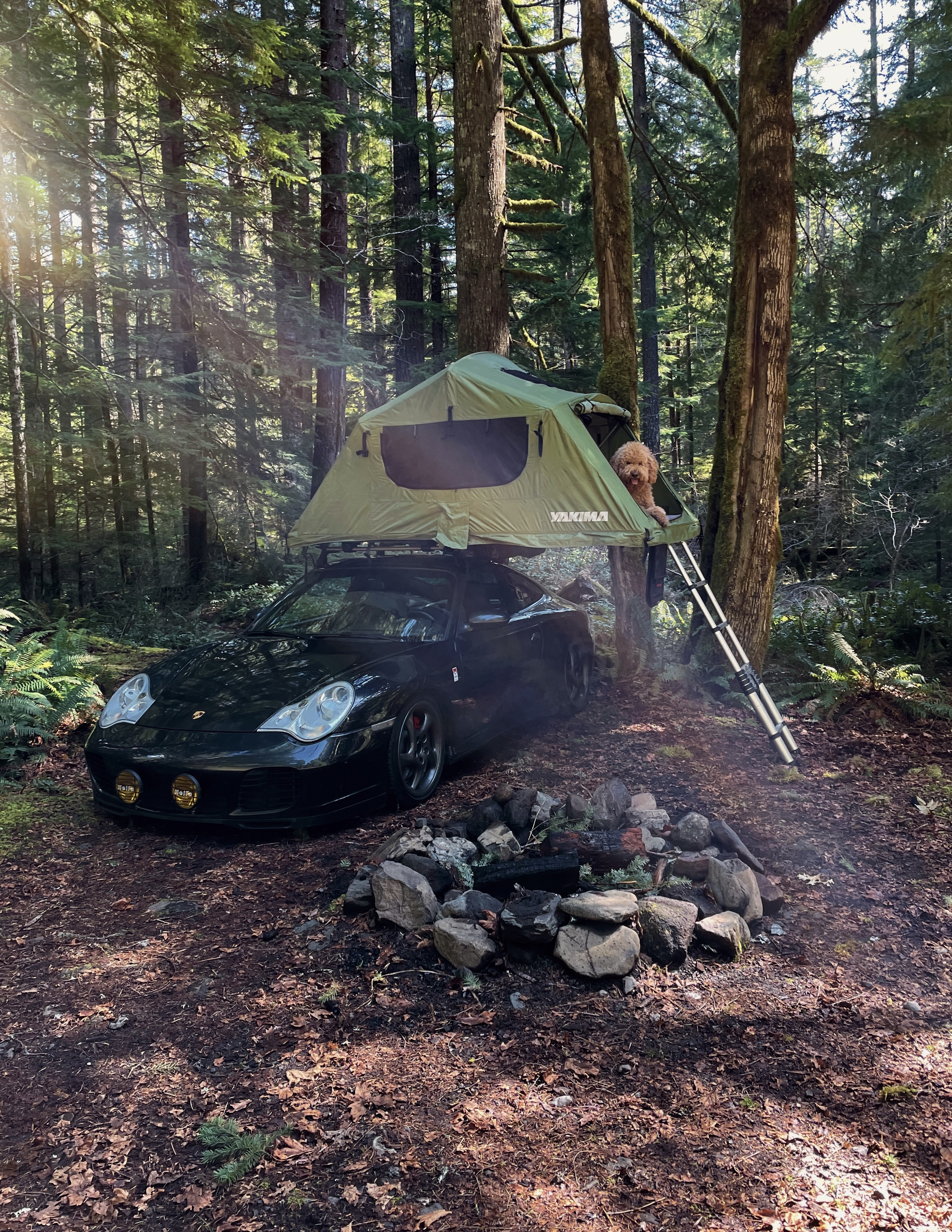 996Roadtrip_Porsche_Camping_lucy.jpg