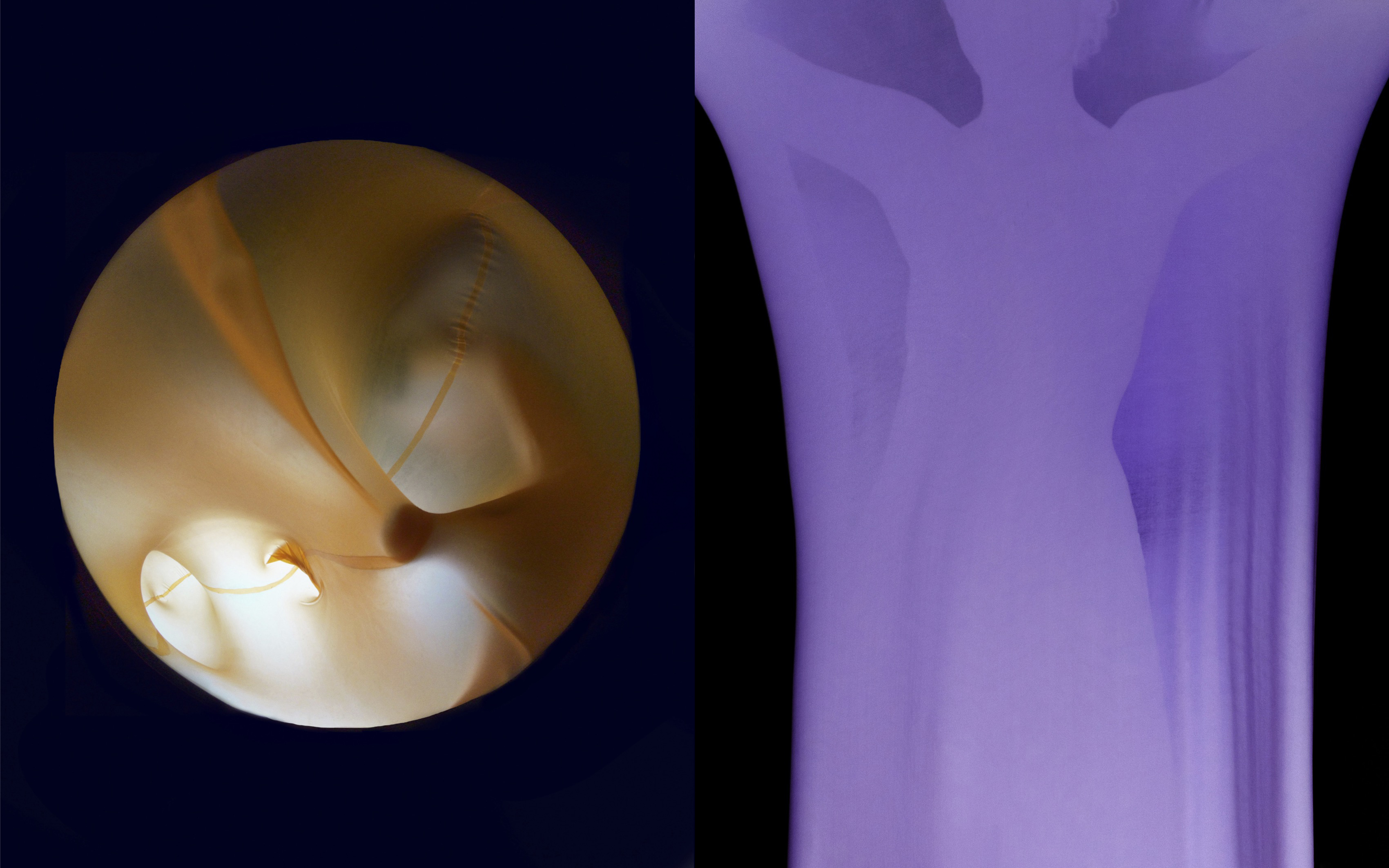 An abstract image from Mika Kailes' BA FCP graduate project