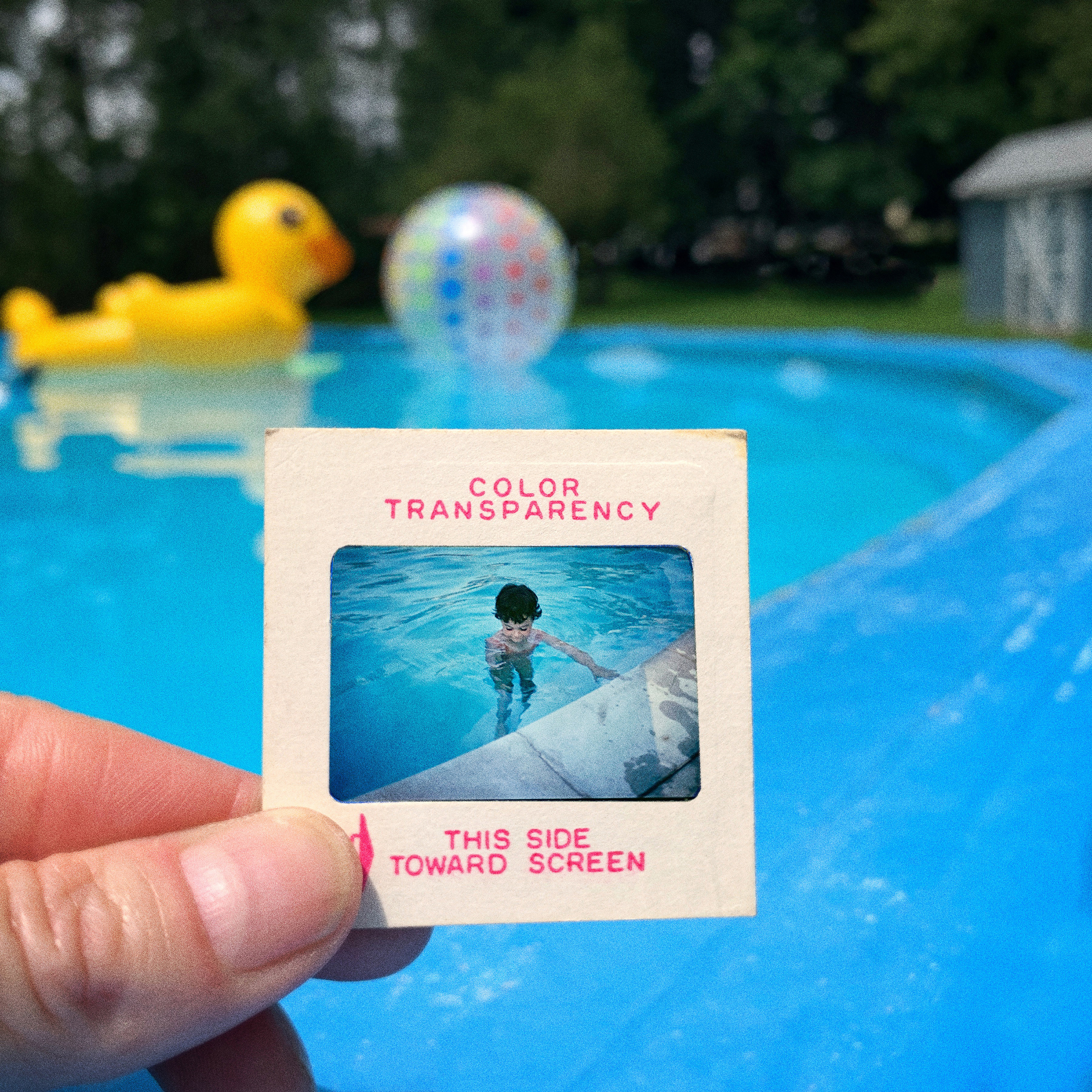 polaroid davanti a piscina con scritto color transparency foto di Catherine Panebianco