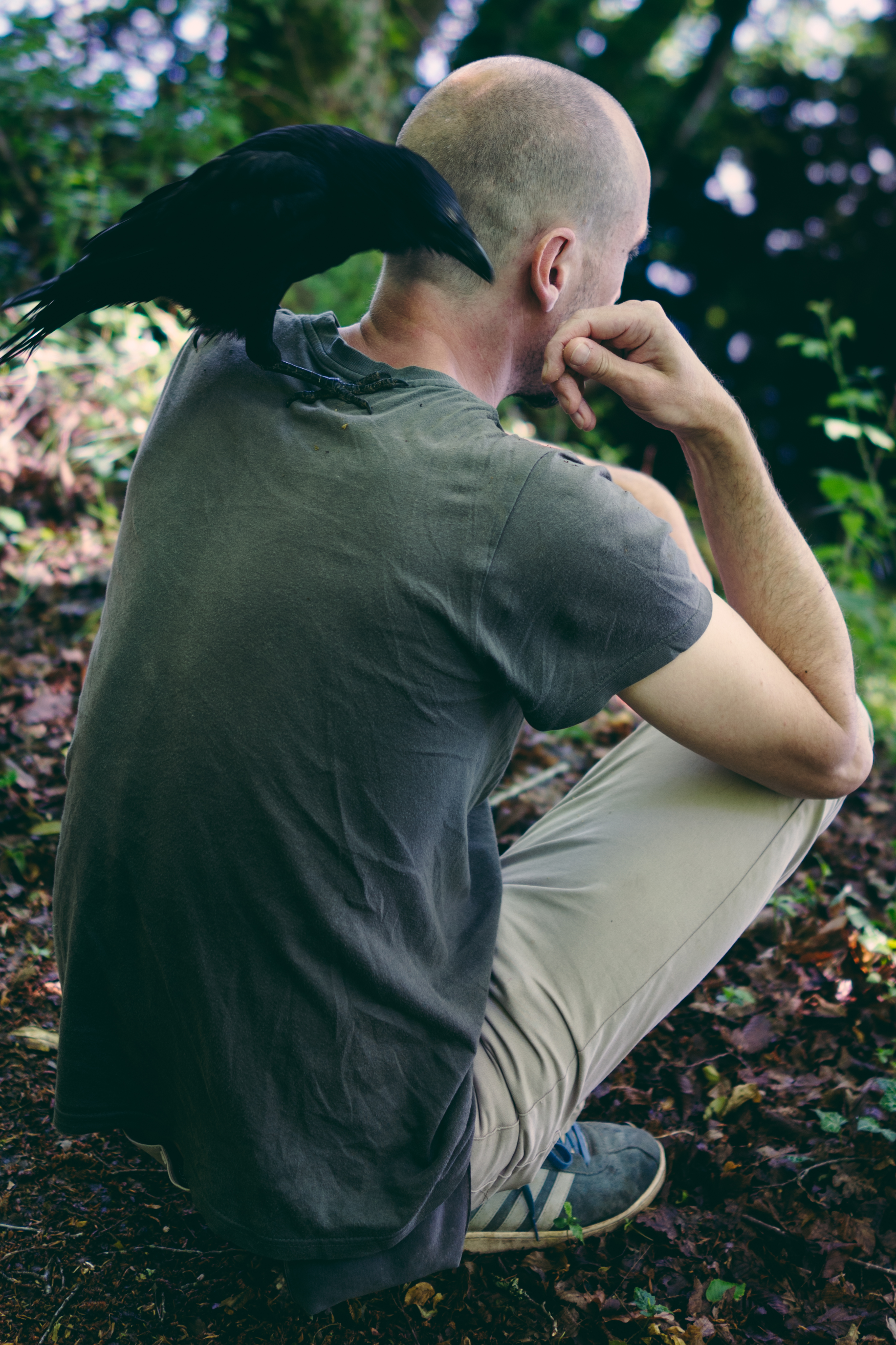 ragazzo nel bosco con corvo sulle spalle foto di Francesca Todde