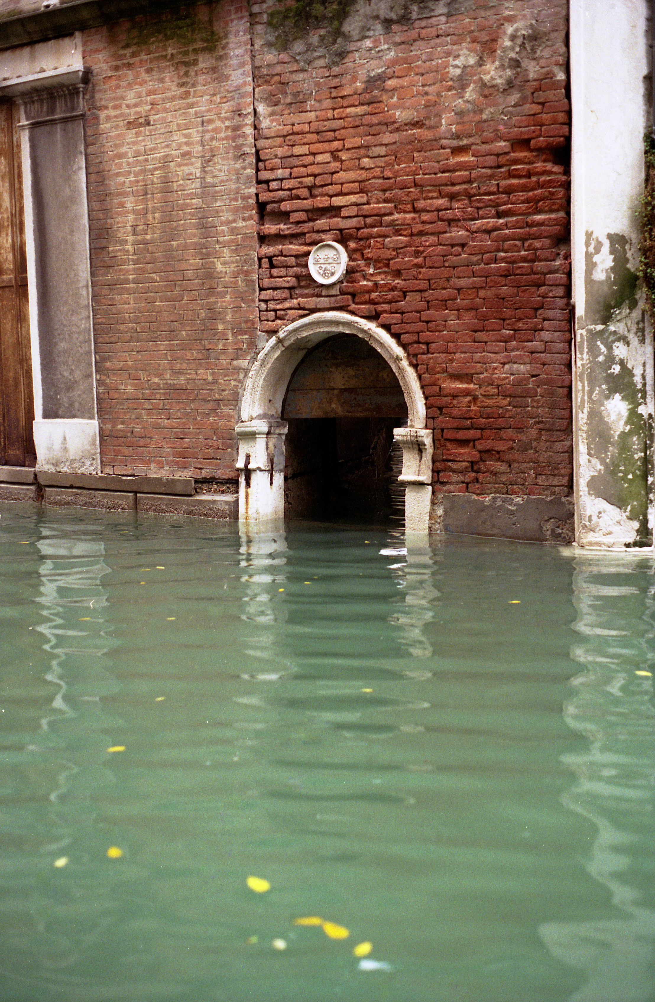 acqua alta, fotografia di Clelia Cadamuro