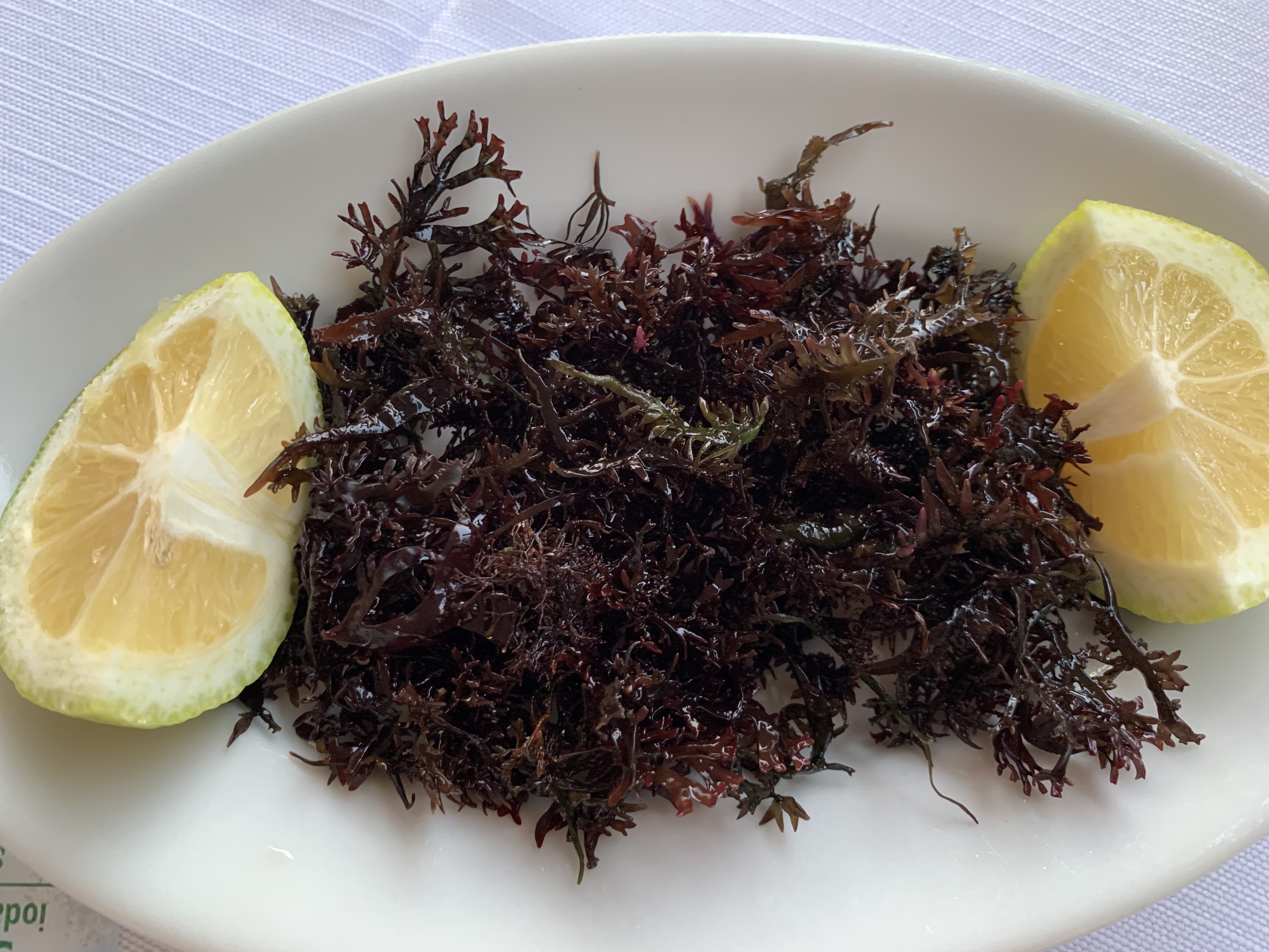 Mauru, Catania, Sicily – red curly saeaweed served on a white oval plate with two lemon slices.