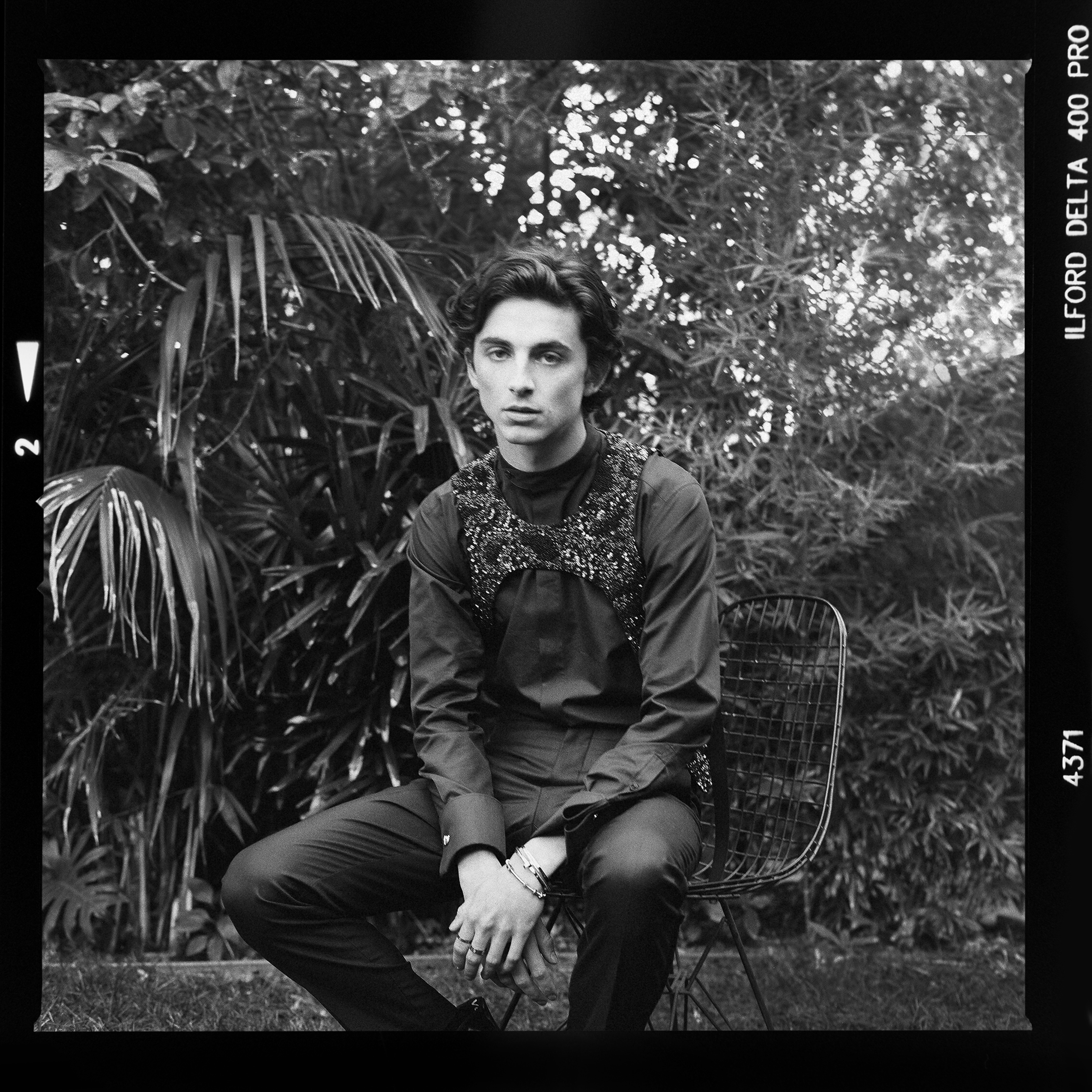 Timothée Chalamet Fan » Photo Sessions