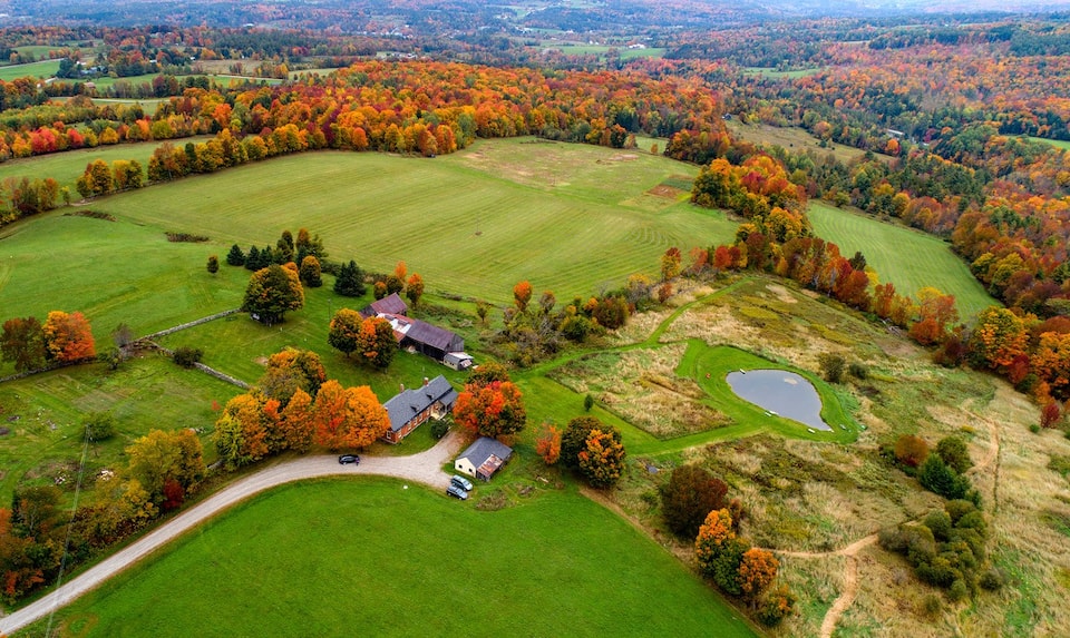 The 28 Best Airbnbs for Fall Leaf Gazing 2023 VICE