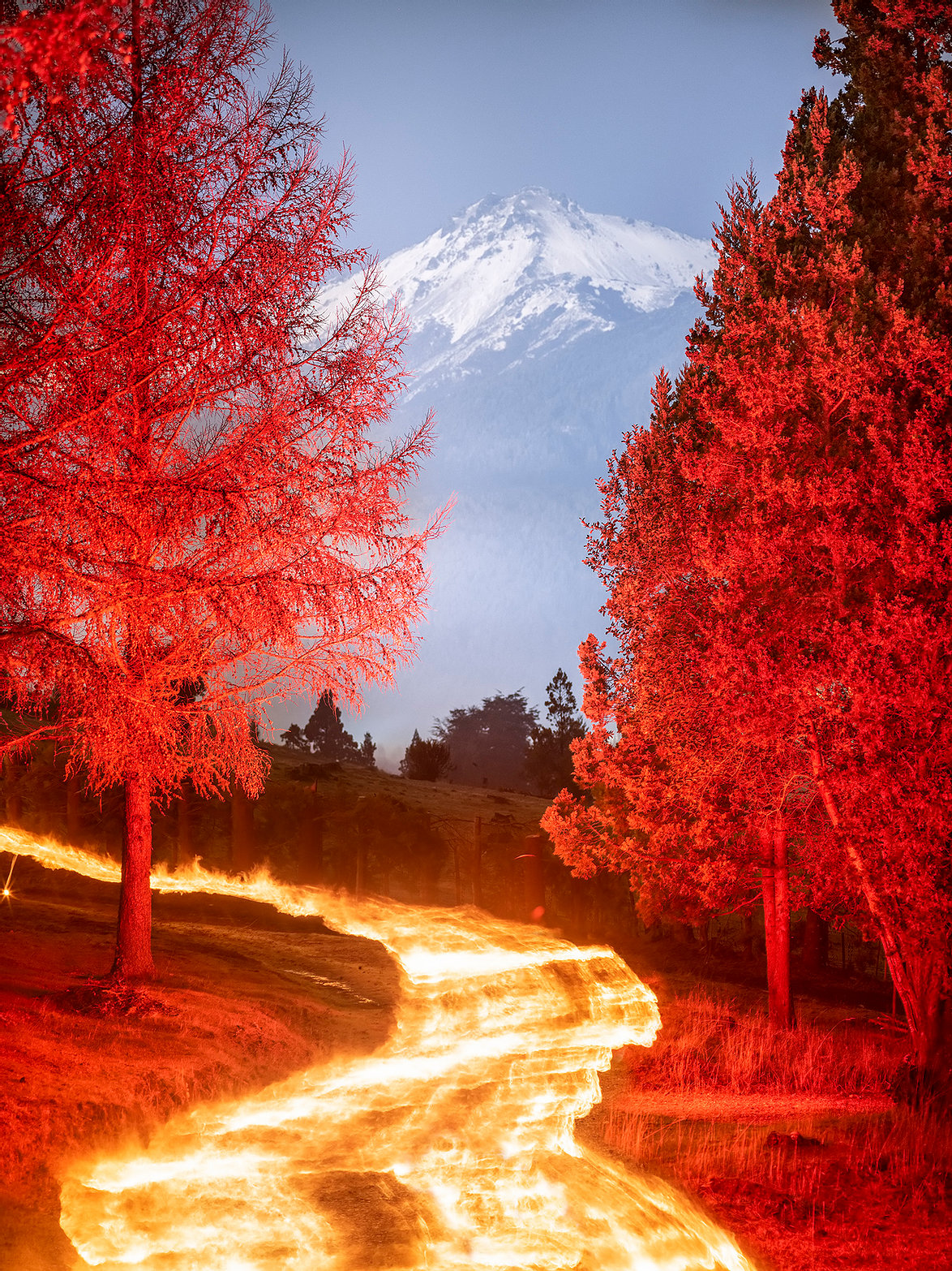 paesaggio in fiamme