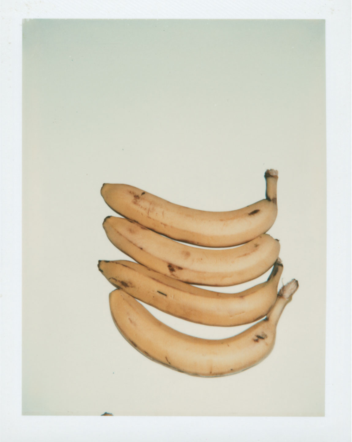 a polaroid photograph of four bananas by andy warhol