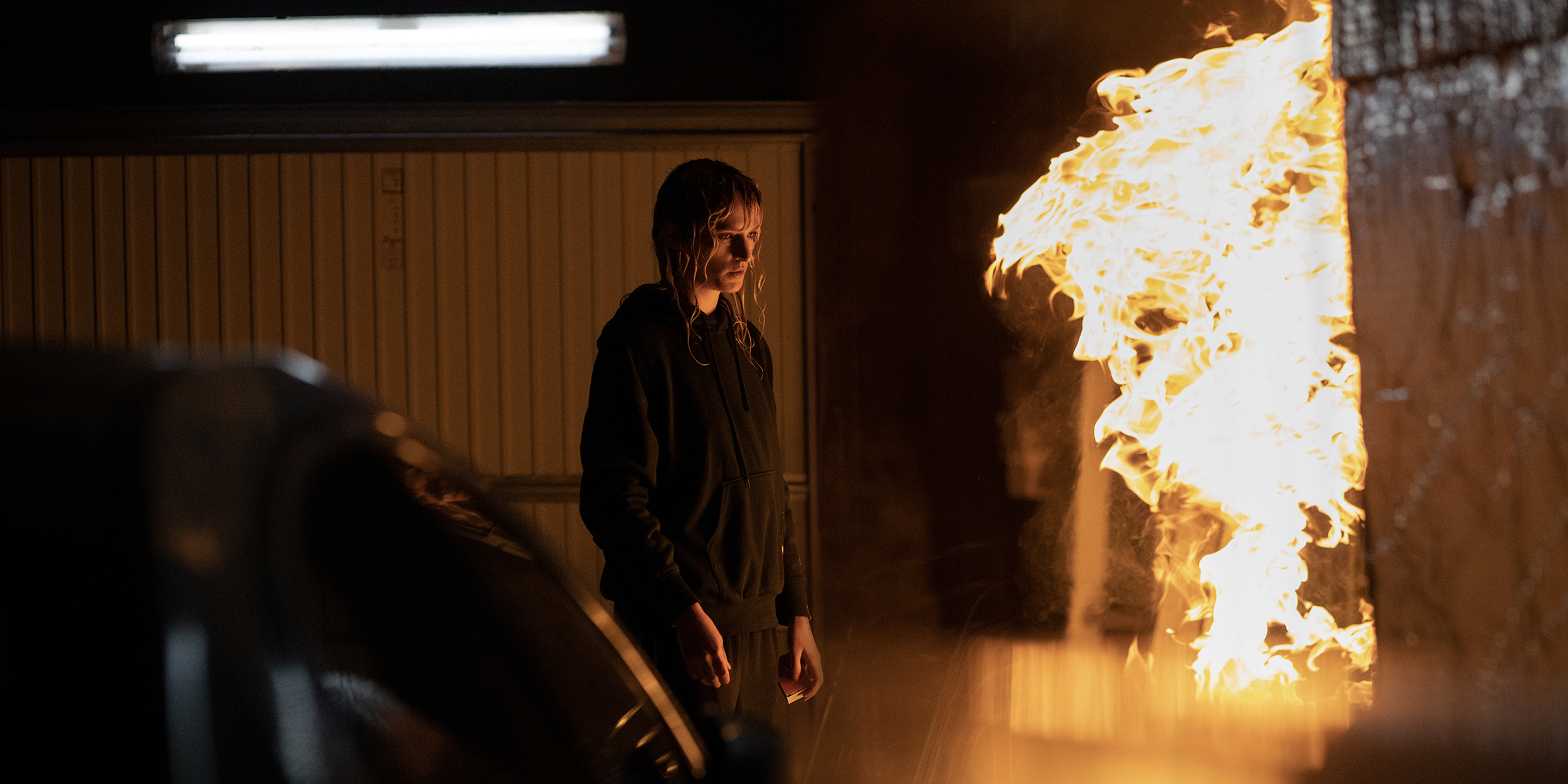 titane film recensione