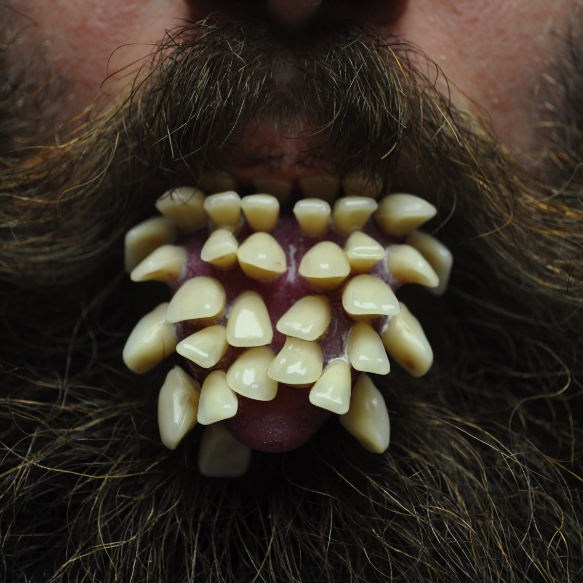 Matteo Ingrao, sculpture, art - Photo of tooth covered tongue poking out of a bearded human face