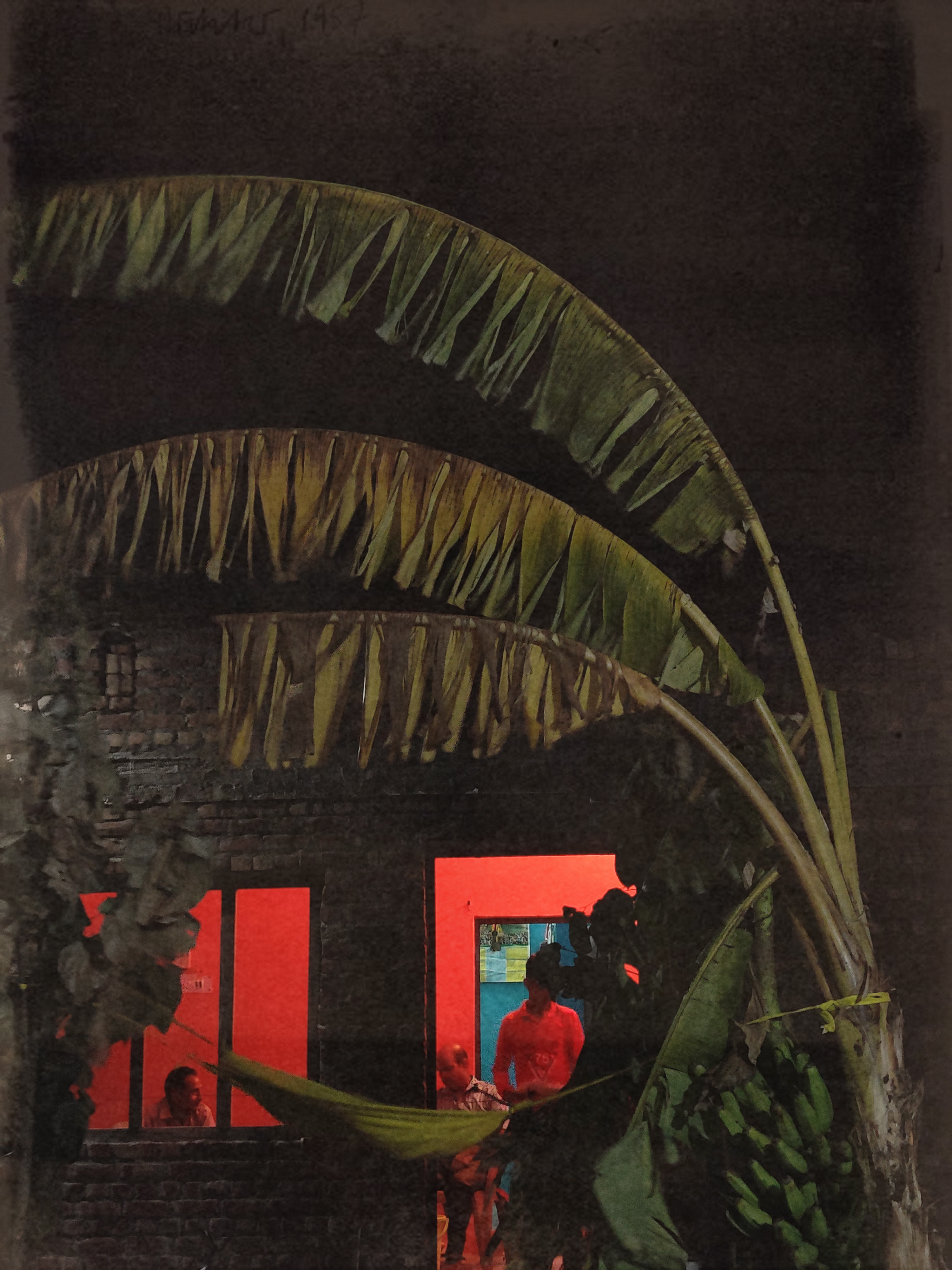 a brick house with red lights inside at night. A banana tree sits in front of the house and three people are inside. 