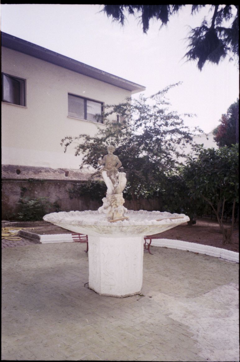 AF91.jpg