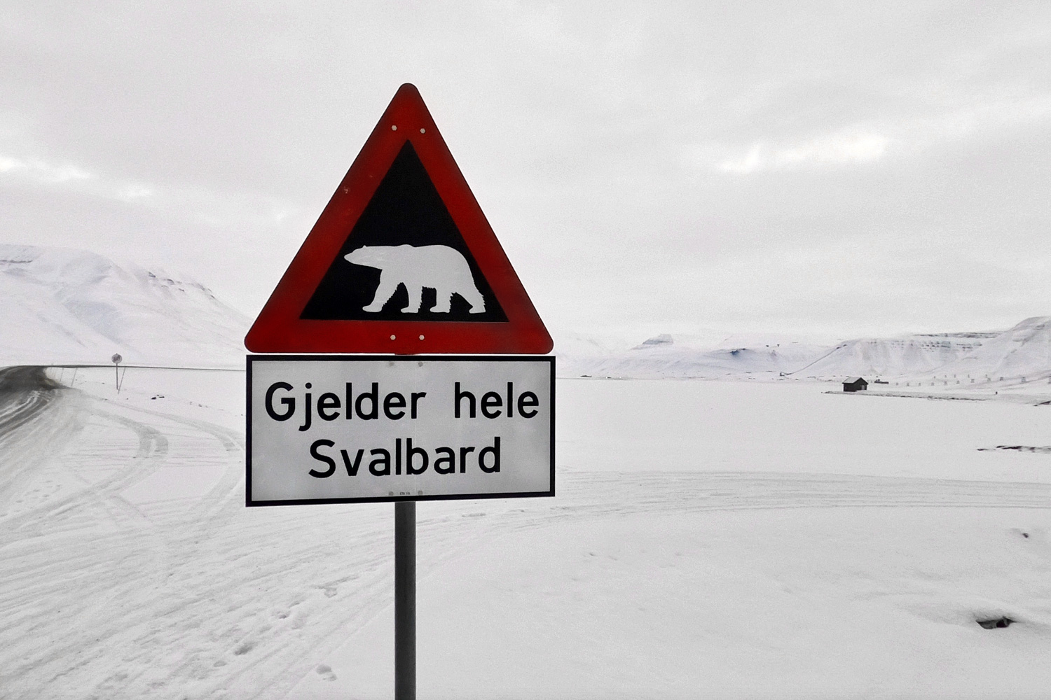 Papan peringatan banyak beruang kutub