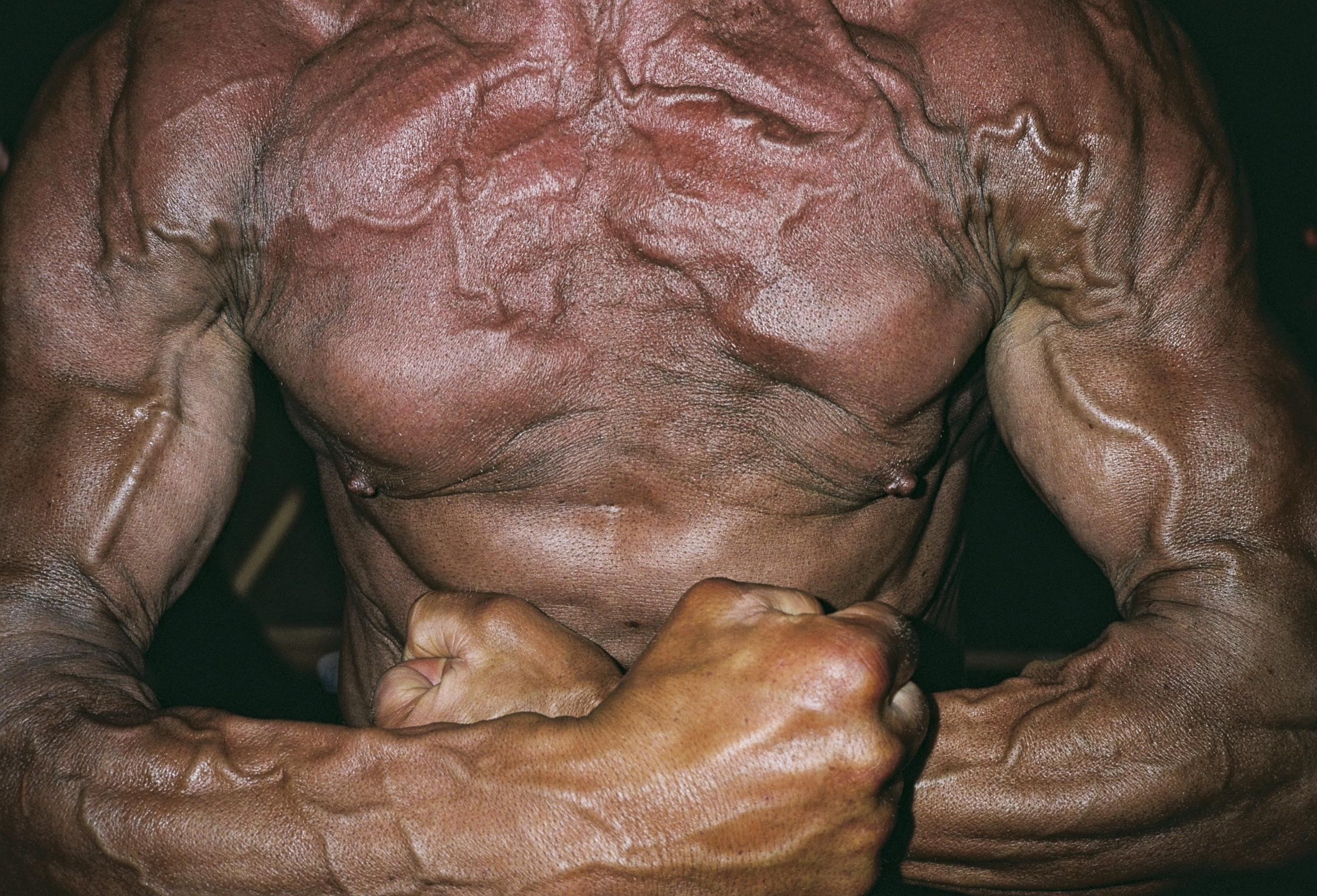 Nikolas-Petros Androbik, bodybuilding, photography - Close-up image of muscular and veined torso and arms, skin is extremely bronzed.