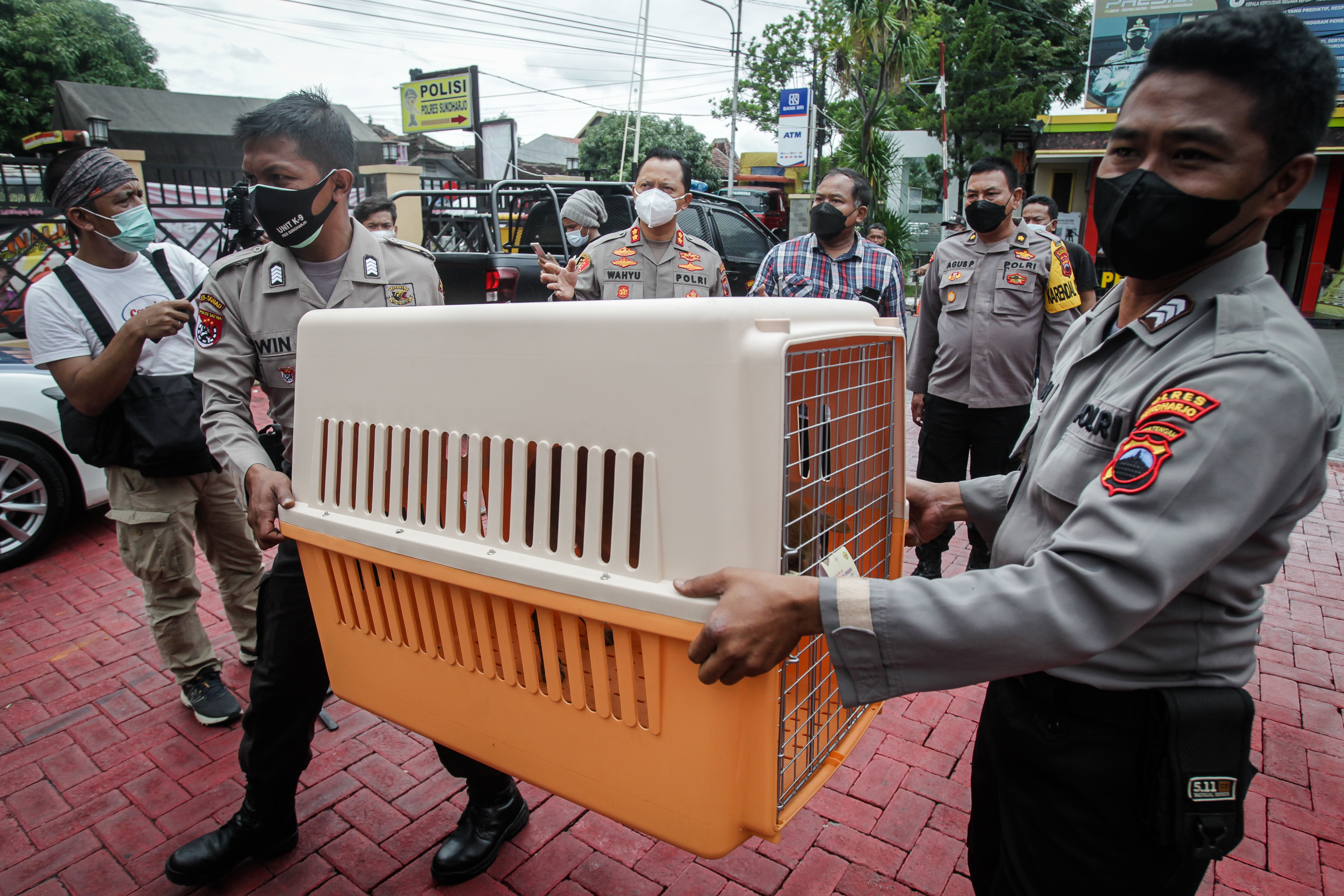 Dogs rescued in the raid are transported. Photo: Yoma Times Suryadi/AP Images for HSI