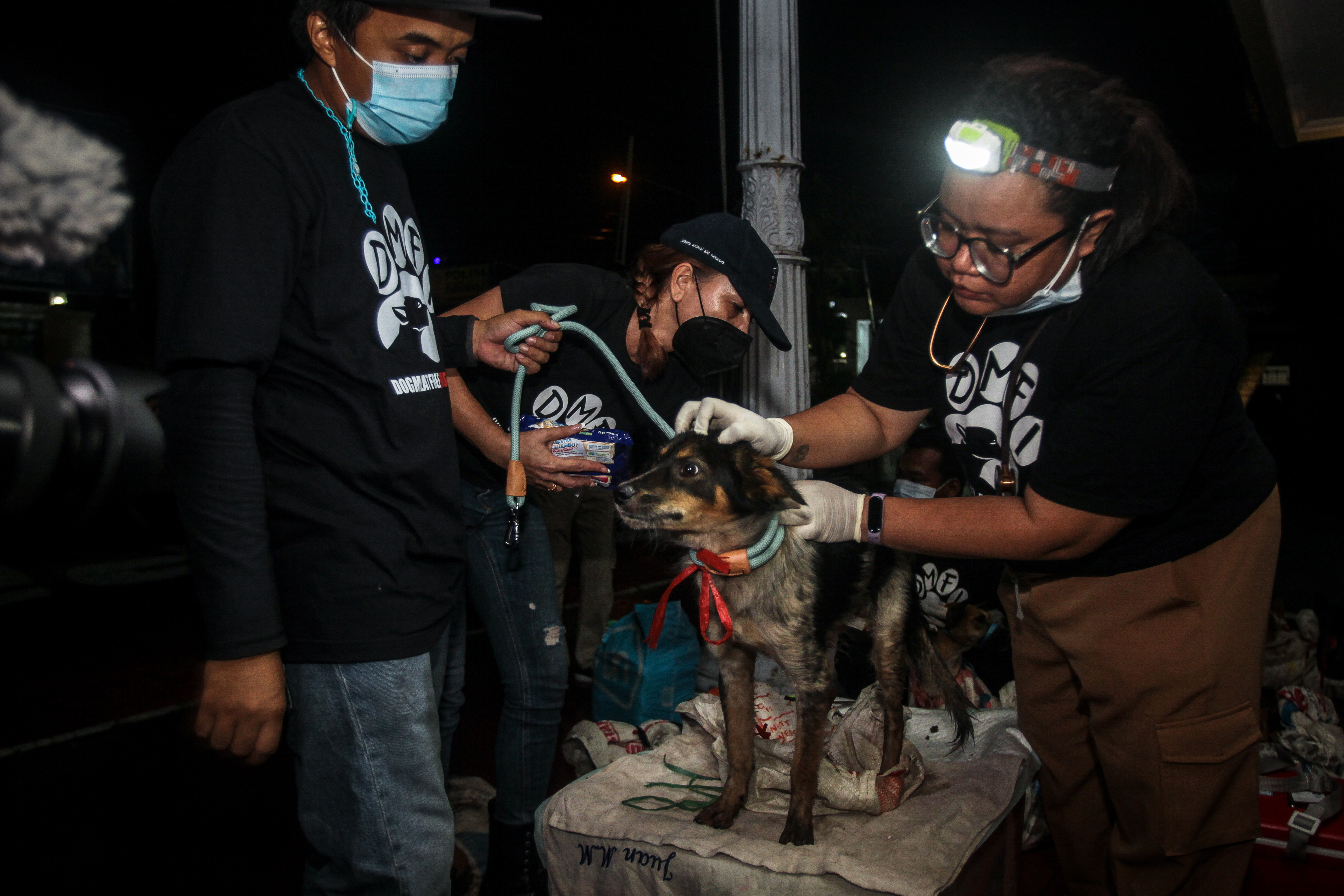 Dog Meat Free Indonesia members rescue dogs found in a police raid on local dog meat trade in Central Java.