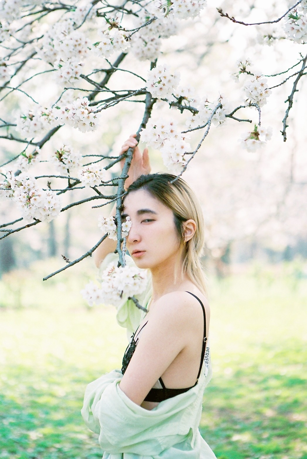 Chinpan profile pic (1).jpg