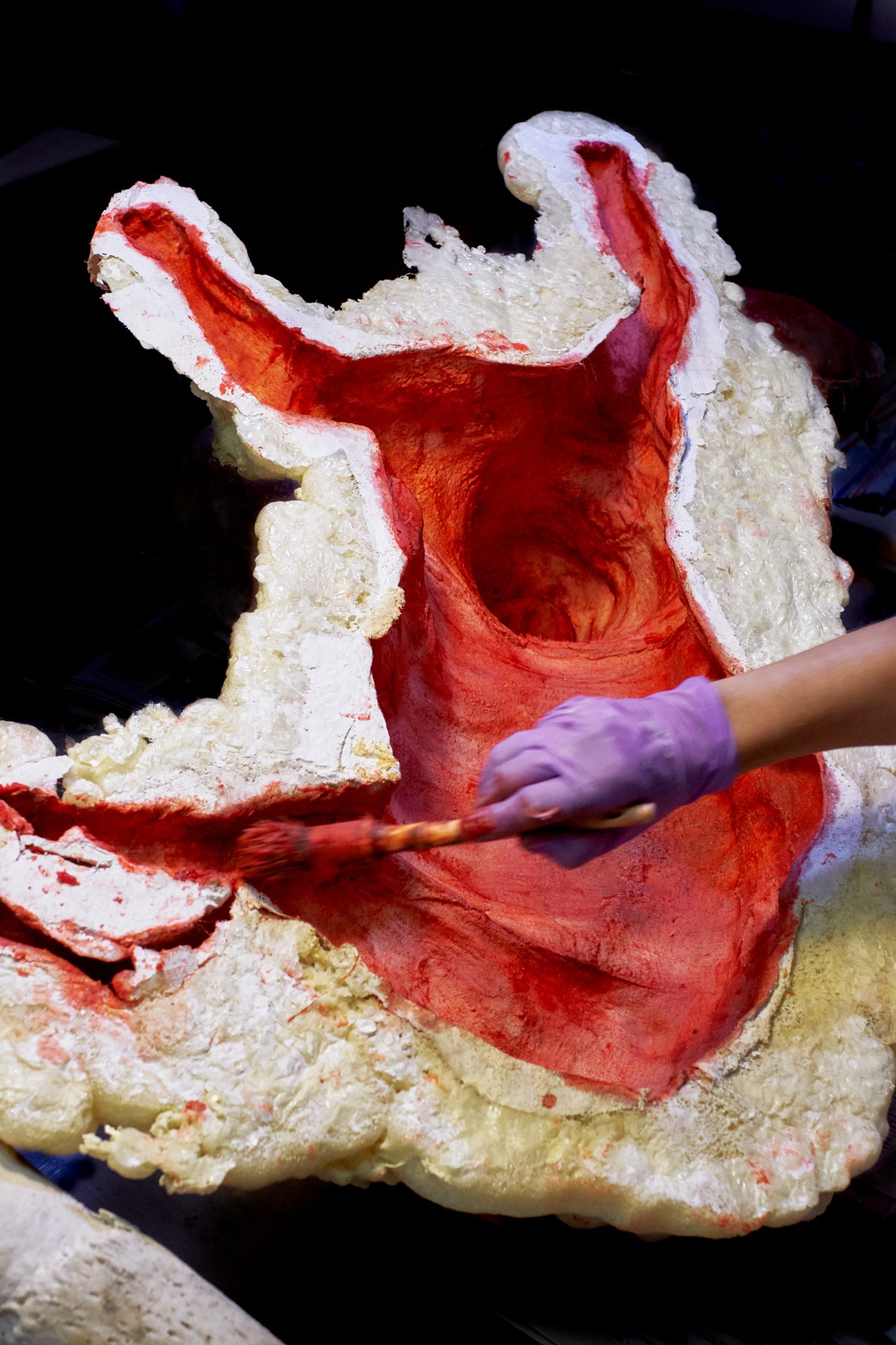 pelle di pecora che viene colorata di rosso all'interno clelia cadamuro animabilia