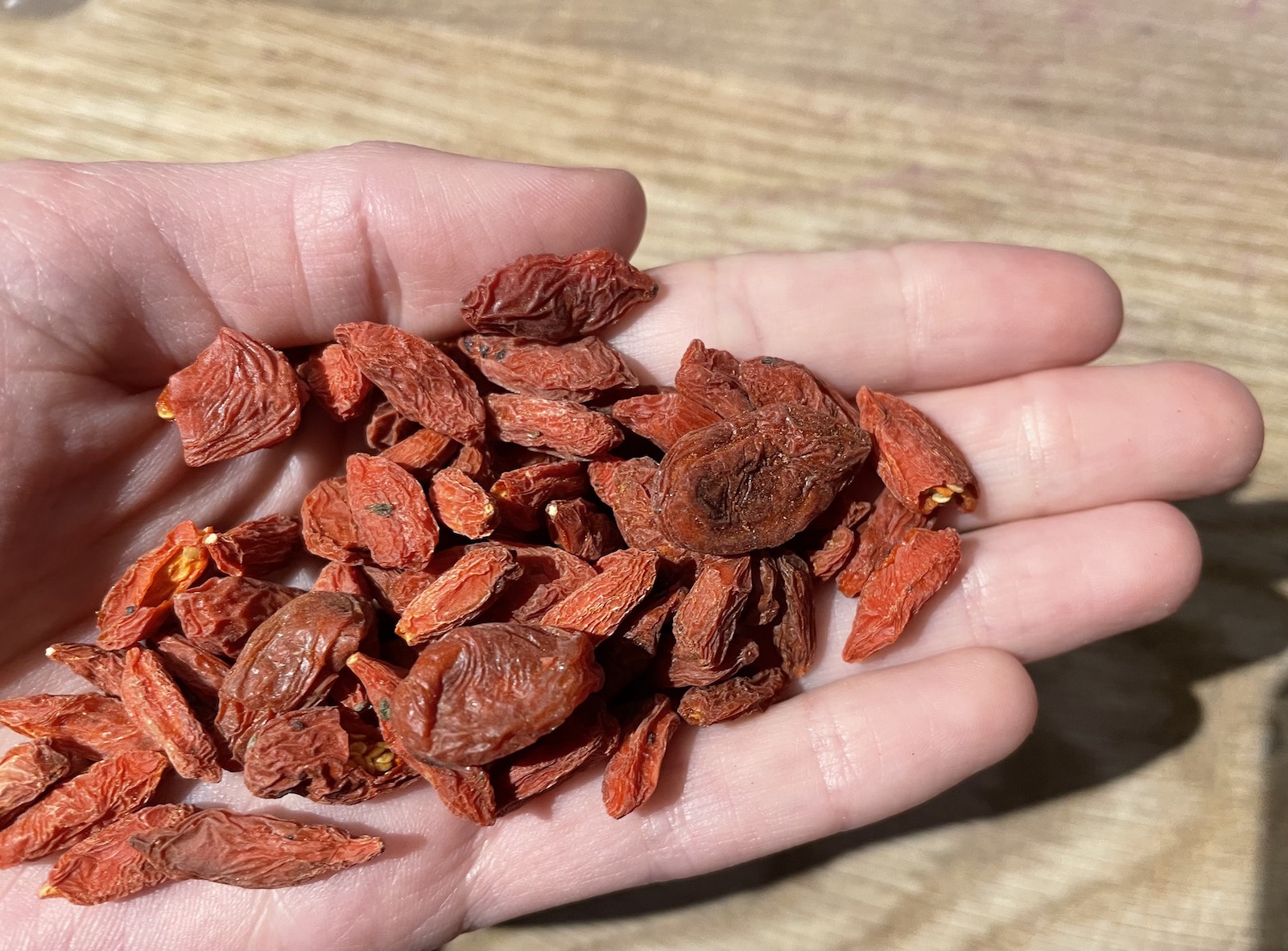 Goji berry