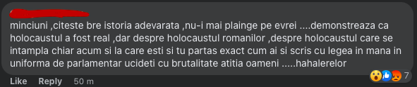 comentarii romani holocaust, comentarii absurde romani internet