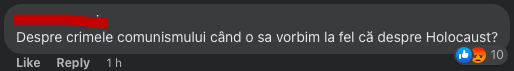 comentarii romani holocaust, comentarii absurde romani internet