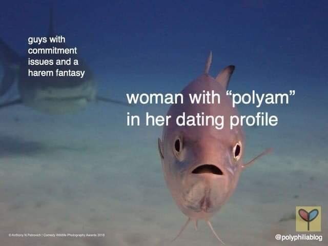 a polyamorous meme
