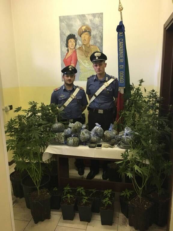 Zwei uniformierte Beamte zwischen Cannabispflanzen und abgepacktem Marihuana