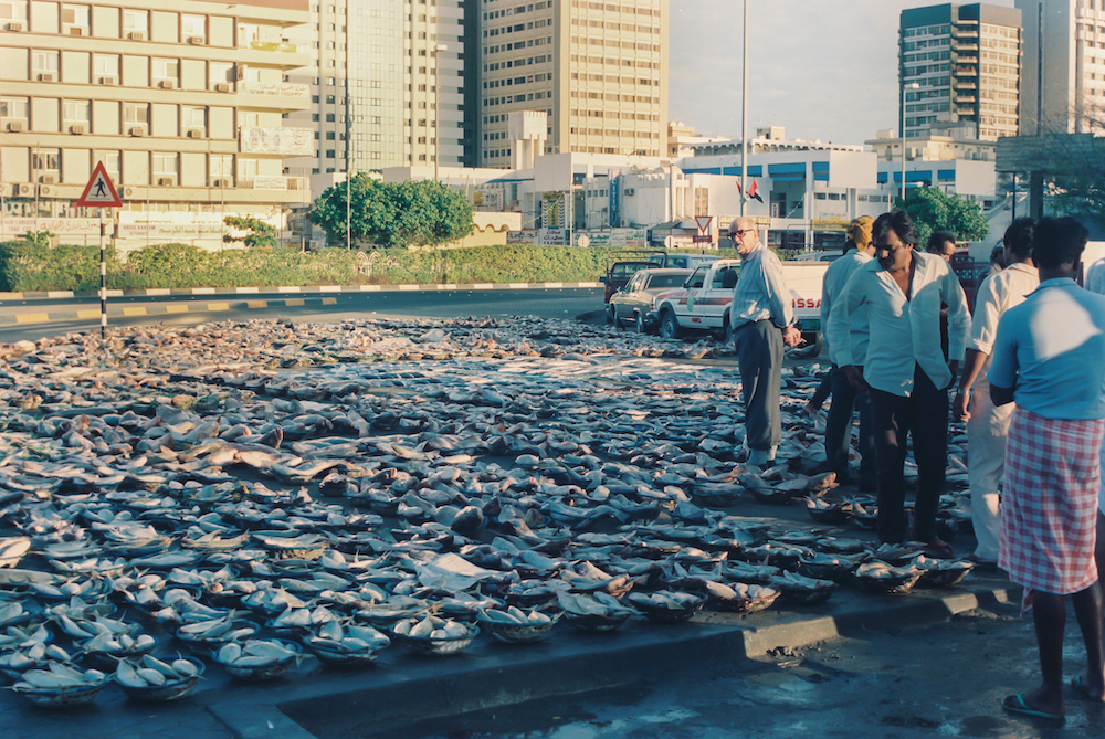 Saleh al-Tamimi, Abu Dhabi — Pasar ikan