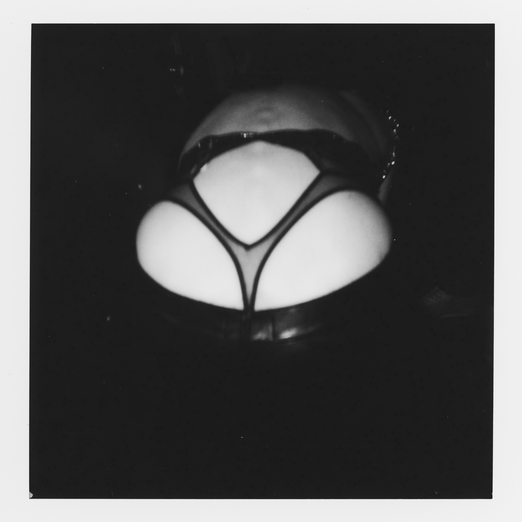 festa erotica 3 carnale room milano