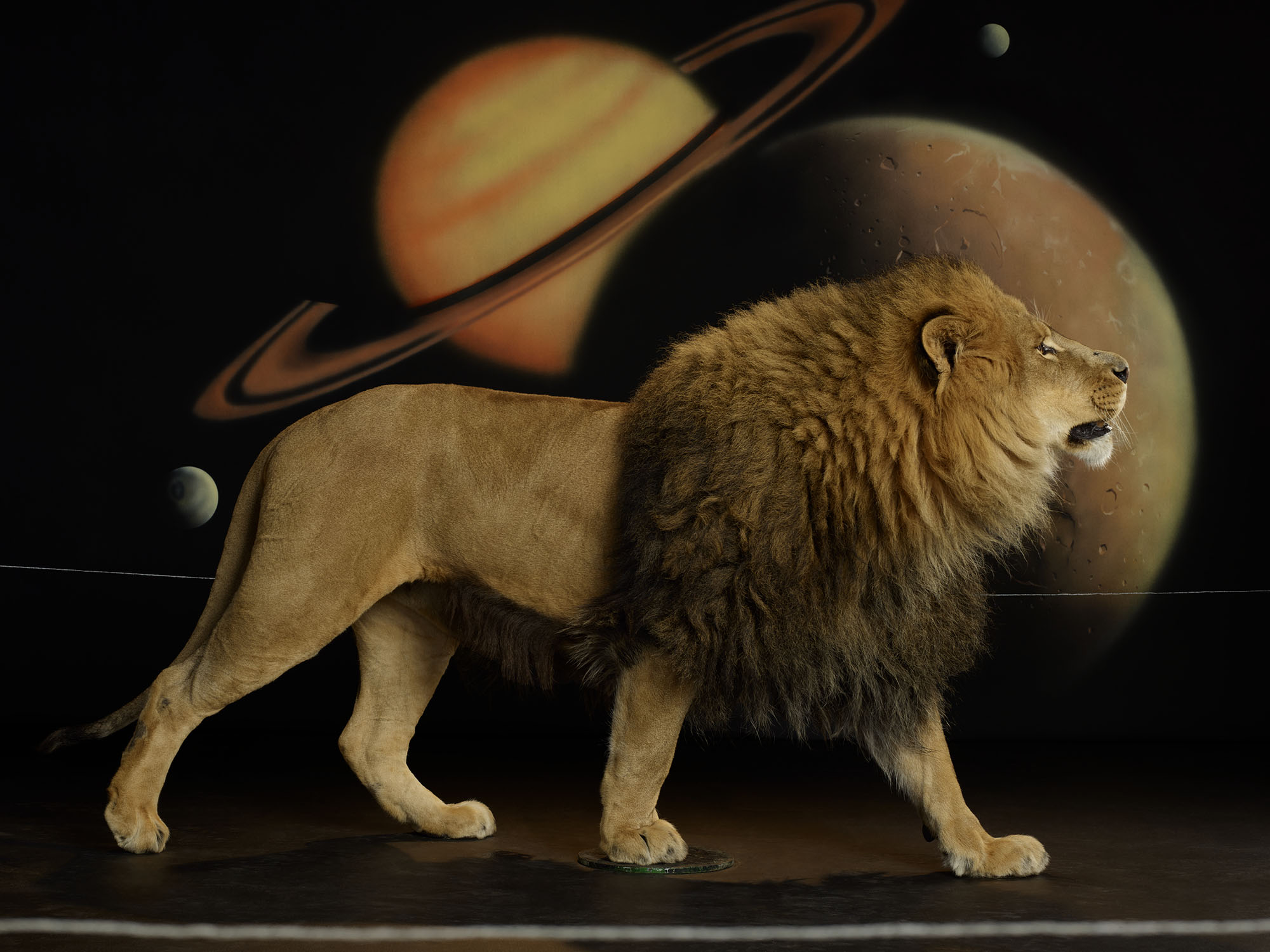 A lion posed in front of the solar system, by Awol Erizku