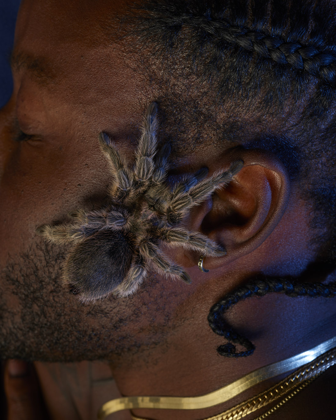 A man with a tarantula on his face, photograph by Awol Erizku