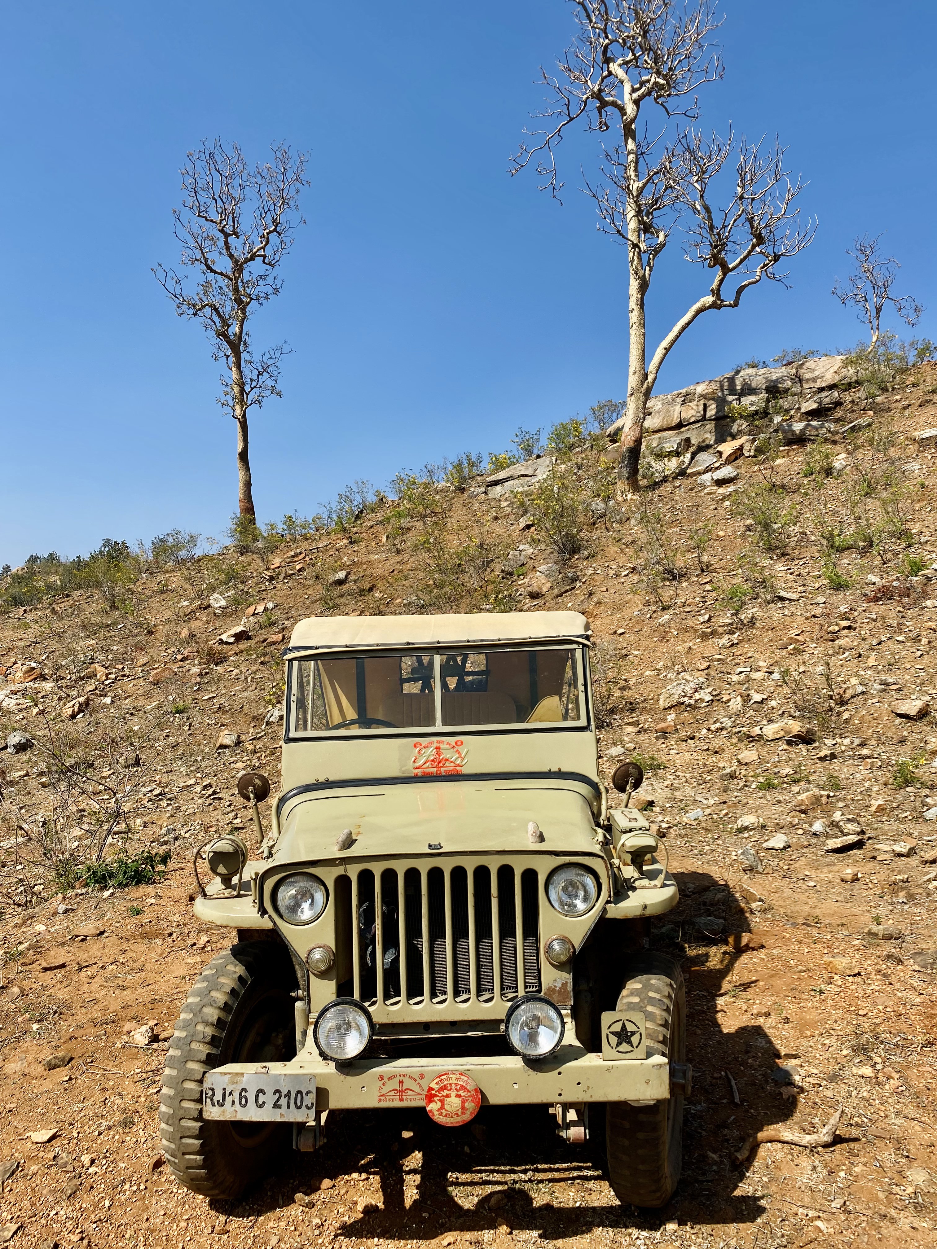 Mobil jeep yang mengangkut wisatawan safari