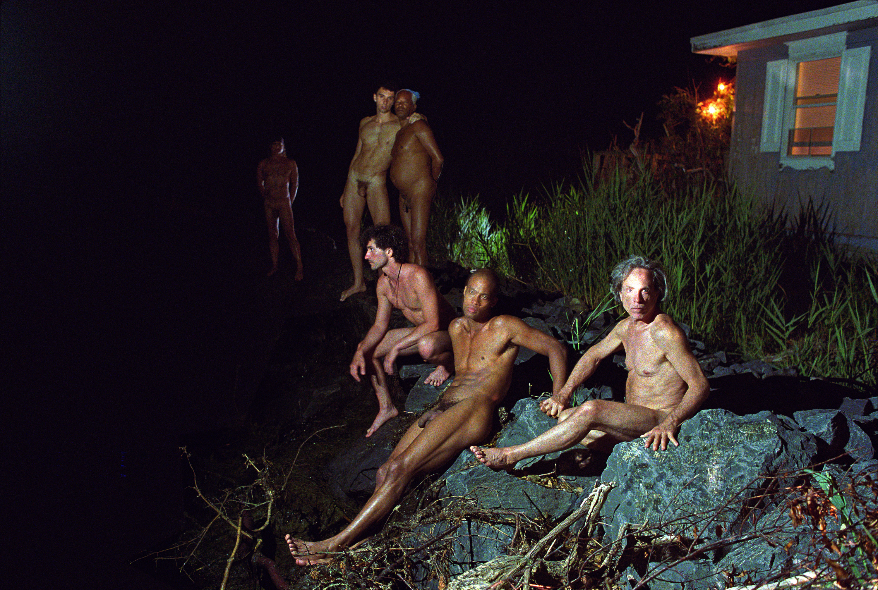 Fire island show sex scenes