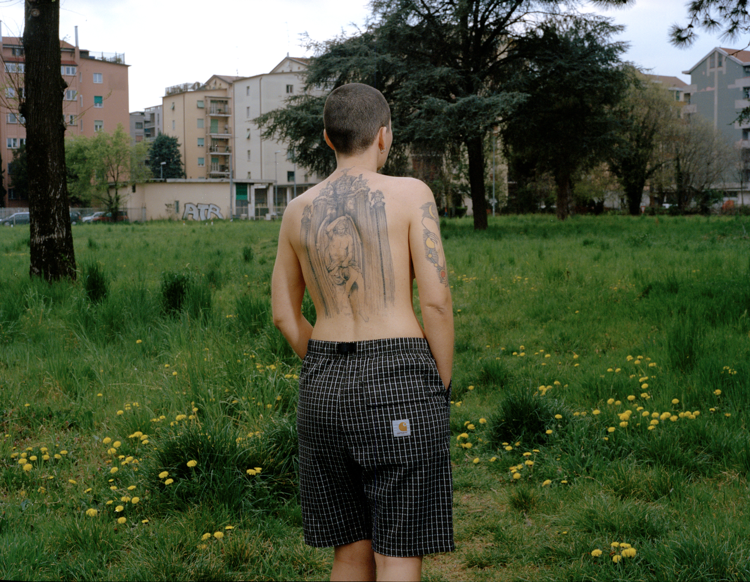 schiena tatuata persona in mezzo a prato con fiori gialli NZIRIA