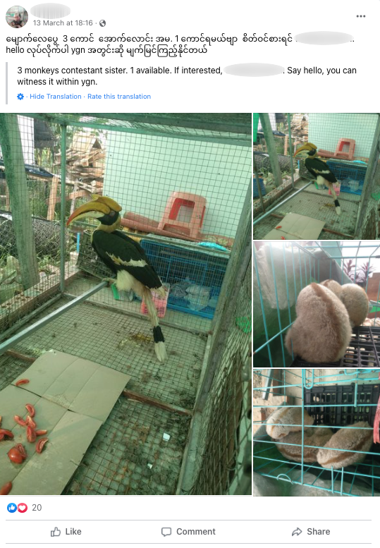 trafic cu animale pe cale de disparitie pe facebook internet online comert online ilegal