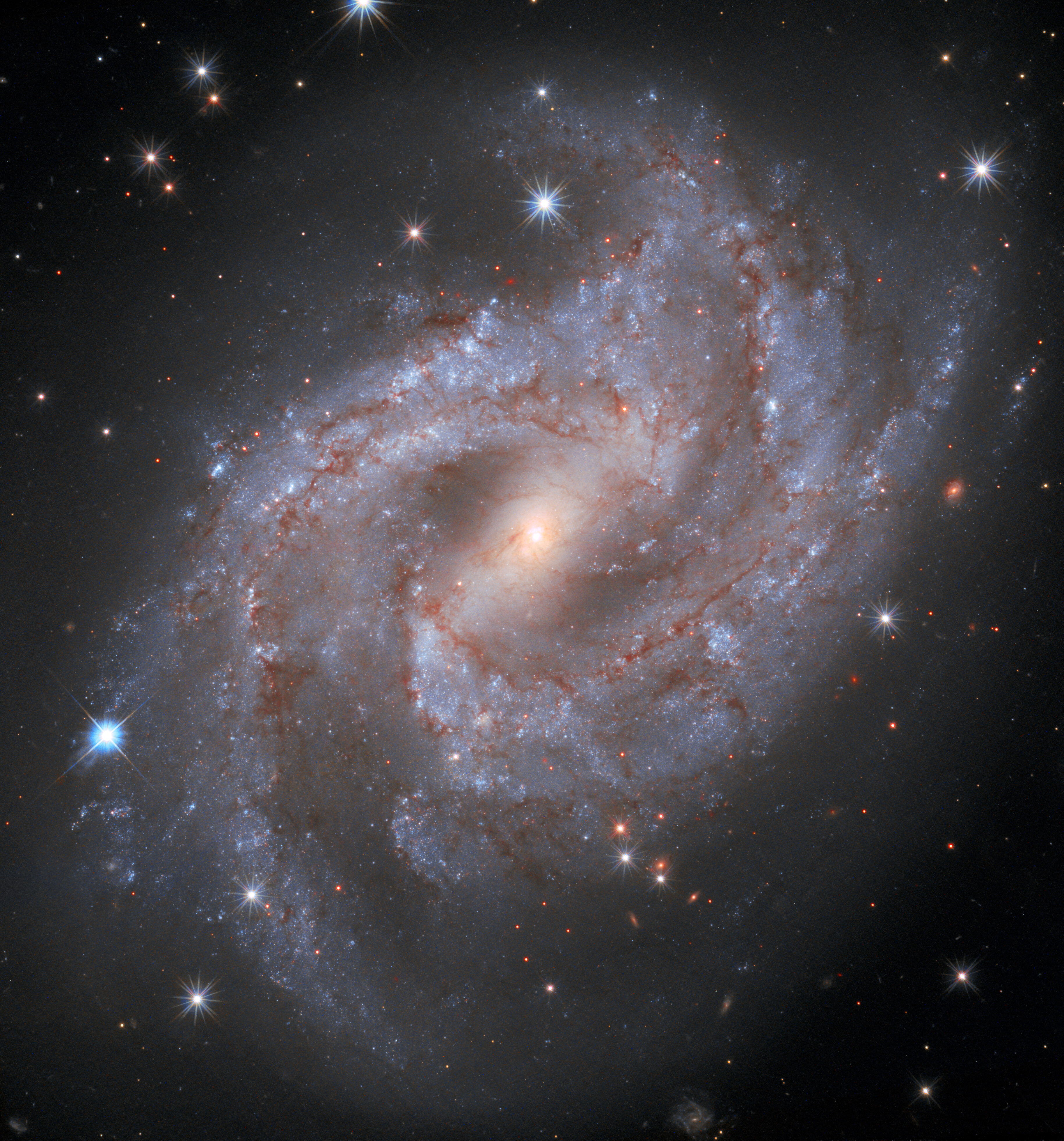 Galaksi NGC 2525. Foto: ESA/Hubble & NASA, A. Riess and the Shoes Team